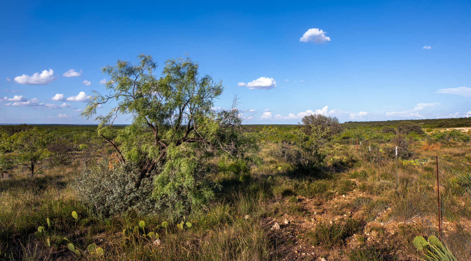 ELG Ranch | Scenic 334-Acre Hunting & Cattle Property for Sale Near Eden, Texas | Jacoby Land Co
