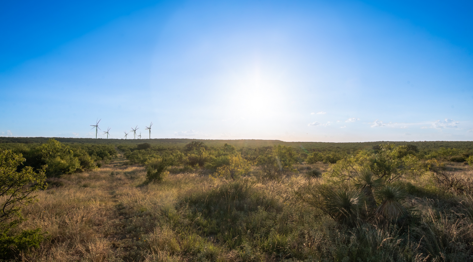 ELG Ranch | Scenic 334-Acre Hunting & Cattle Property for Sale Near Eden, Texas | Jacoby Land Co
