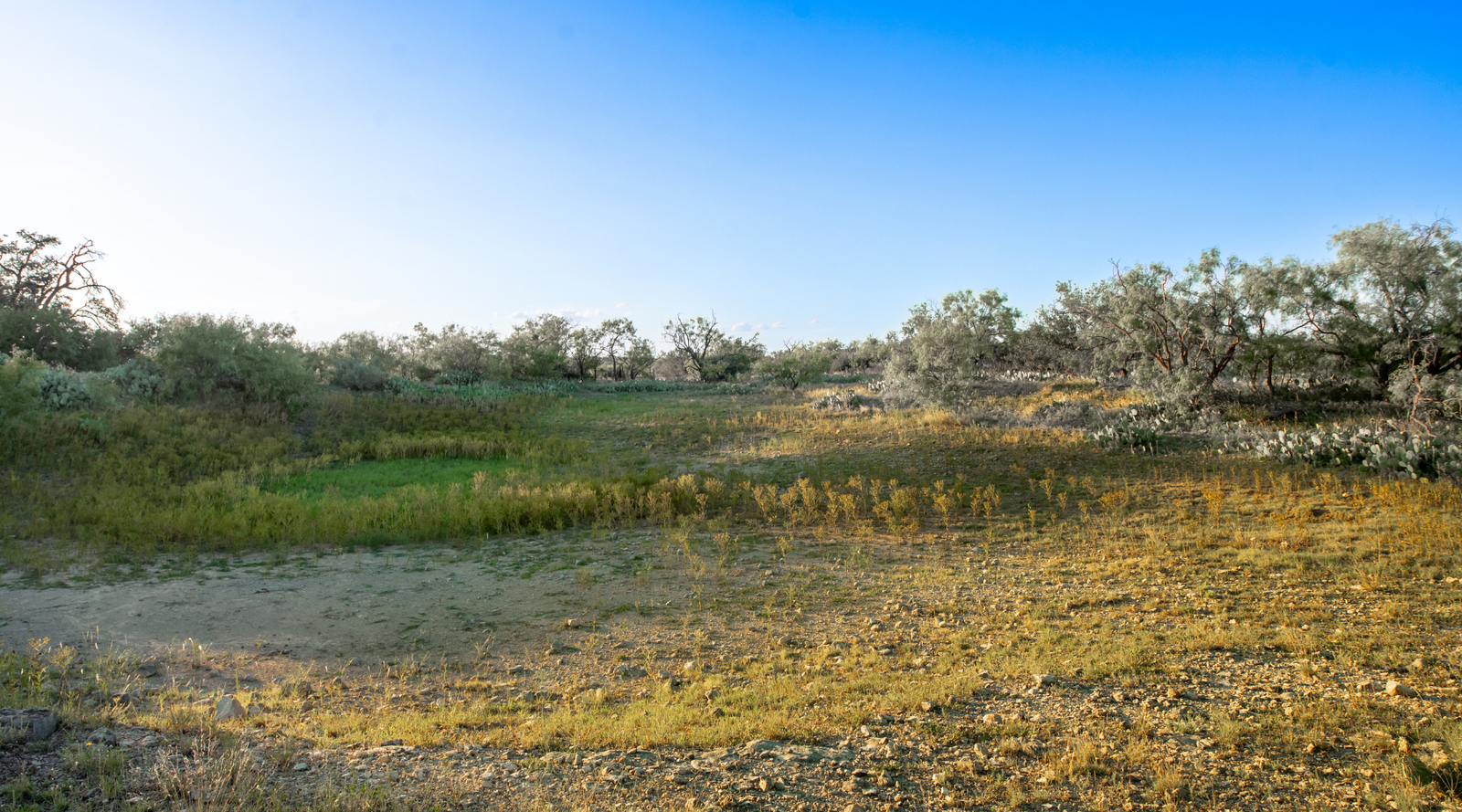 ELG Ranch | Scenic 334-Acre Hunting & Cattle Property for Sale Near Eden, Texas | Jacoby Land Co