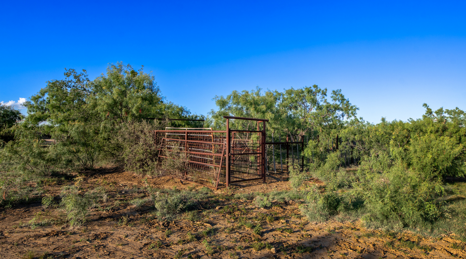 ELG Ranch | Scenic 334-Acre Hunting & Cattle Property for Sale Near Eden, Texas | Jacoby Land Co