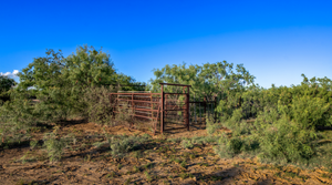 ELG Ranch | Scenic 334-Acre Hunting & Cattle Property for Sale Near Eden, Texas | Jacoby Land Co