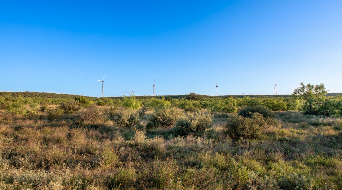 ELG Ranch | Scenic 334-Acre Hunting & Cattle Property for Sale Near Eden, Texas | Jacoby Land Co