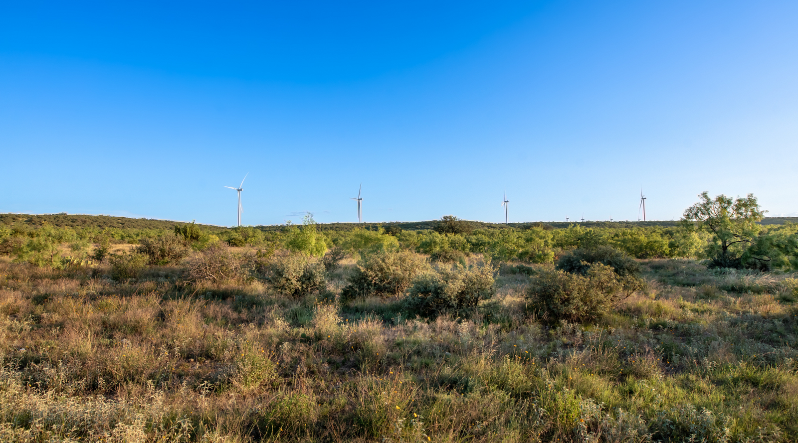 ELG Ranch | Scenic 334-Acre Hunting & Cattle Property for Sale Near Eden, Texas | Jacoby Land Co