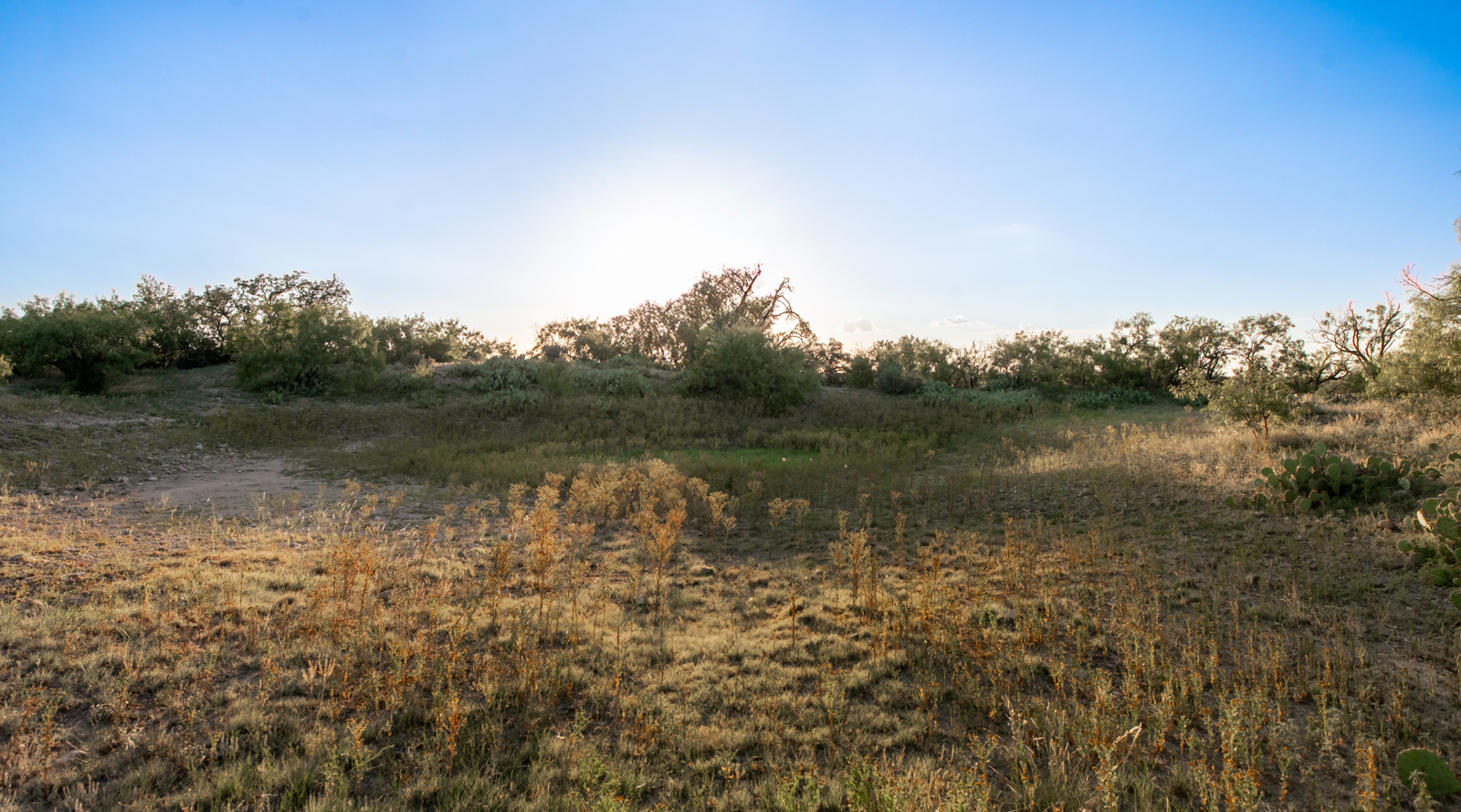 ELG Ranch | Scenic 334-Acre Hunting & Cattle Property for Sale Near Eden, Texas | Jacoby Land Co