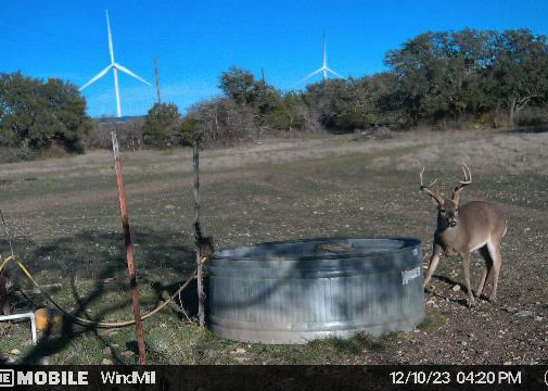 Hill Top Ranch