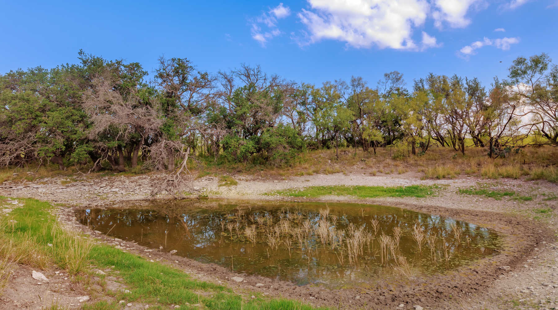 Oak Grove Ranch | 174-Acre Hunting Ranch for Sale in Central Texas | Jacoby Land Co