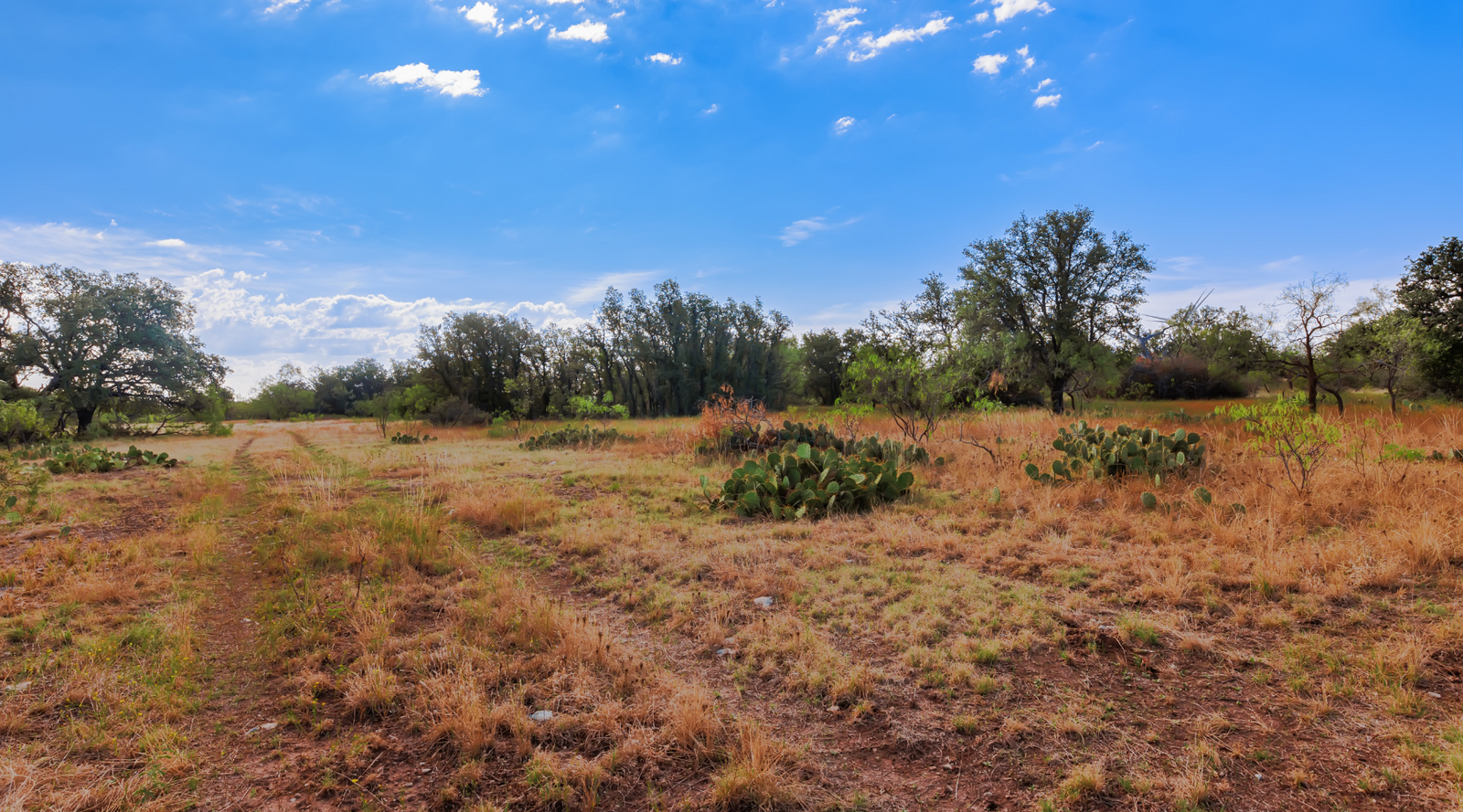 Oak Grove Ranch | 174-Acre Hunting Ranch for Sale in Central Texas | Jacoby Land Co