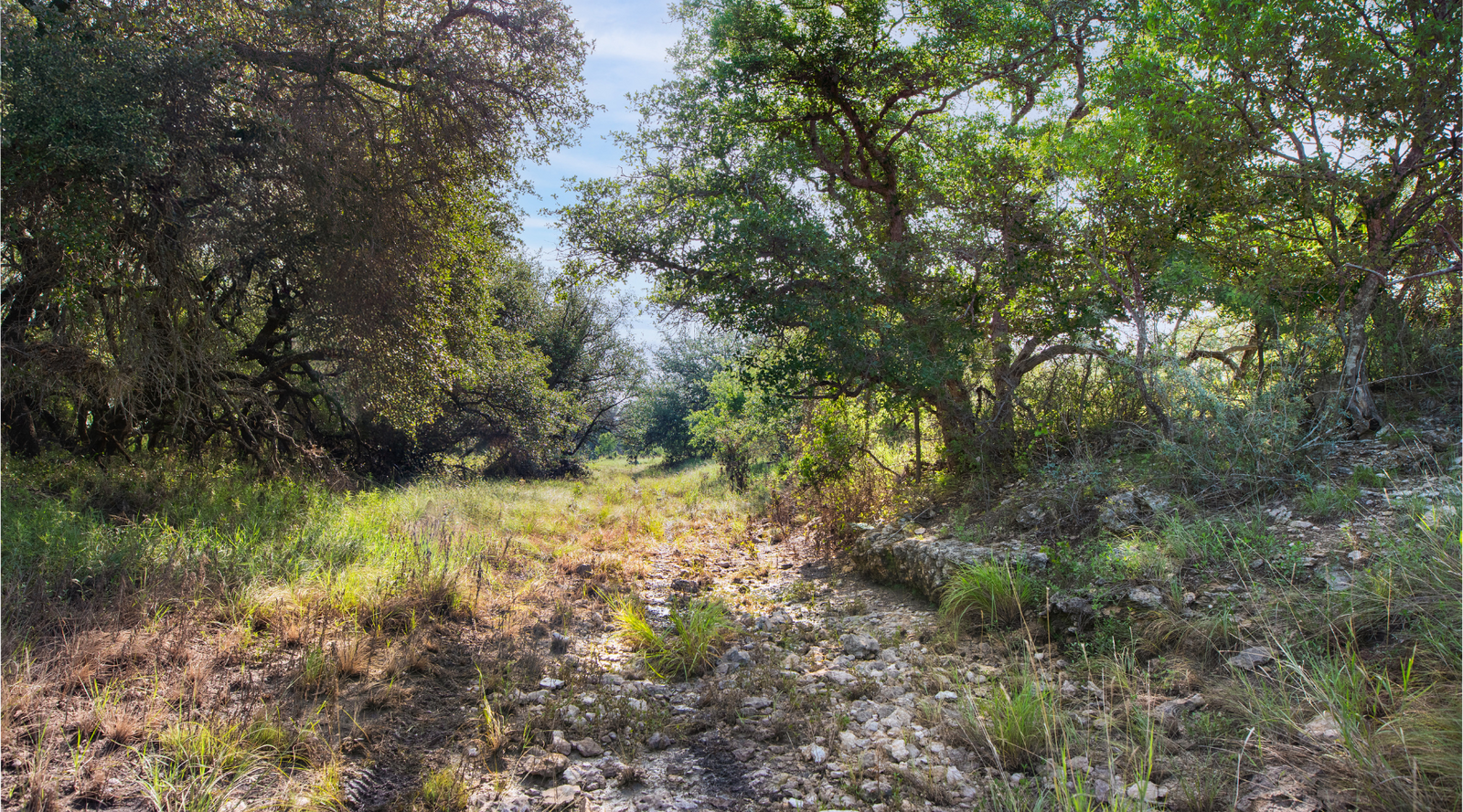 Oak Grove Ranch | 174-Acre Hunting Ranch for Sale in Central Texas | Jacoby Land Co