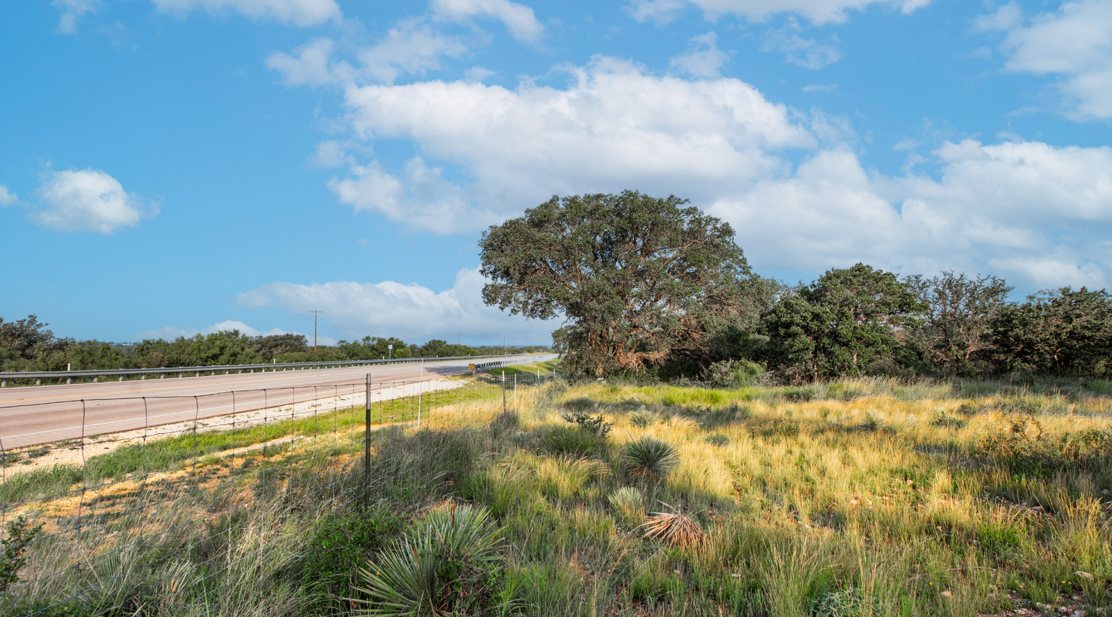 Redden Ranch | Oak-Covered 111-Acre Off-Grid Hunting Property for Sale Near Eden, Texas | Jacoby Land Co