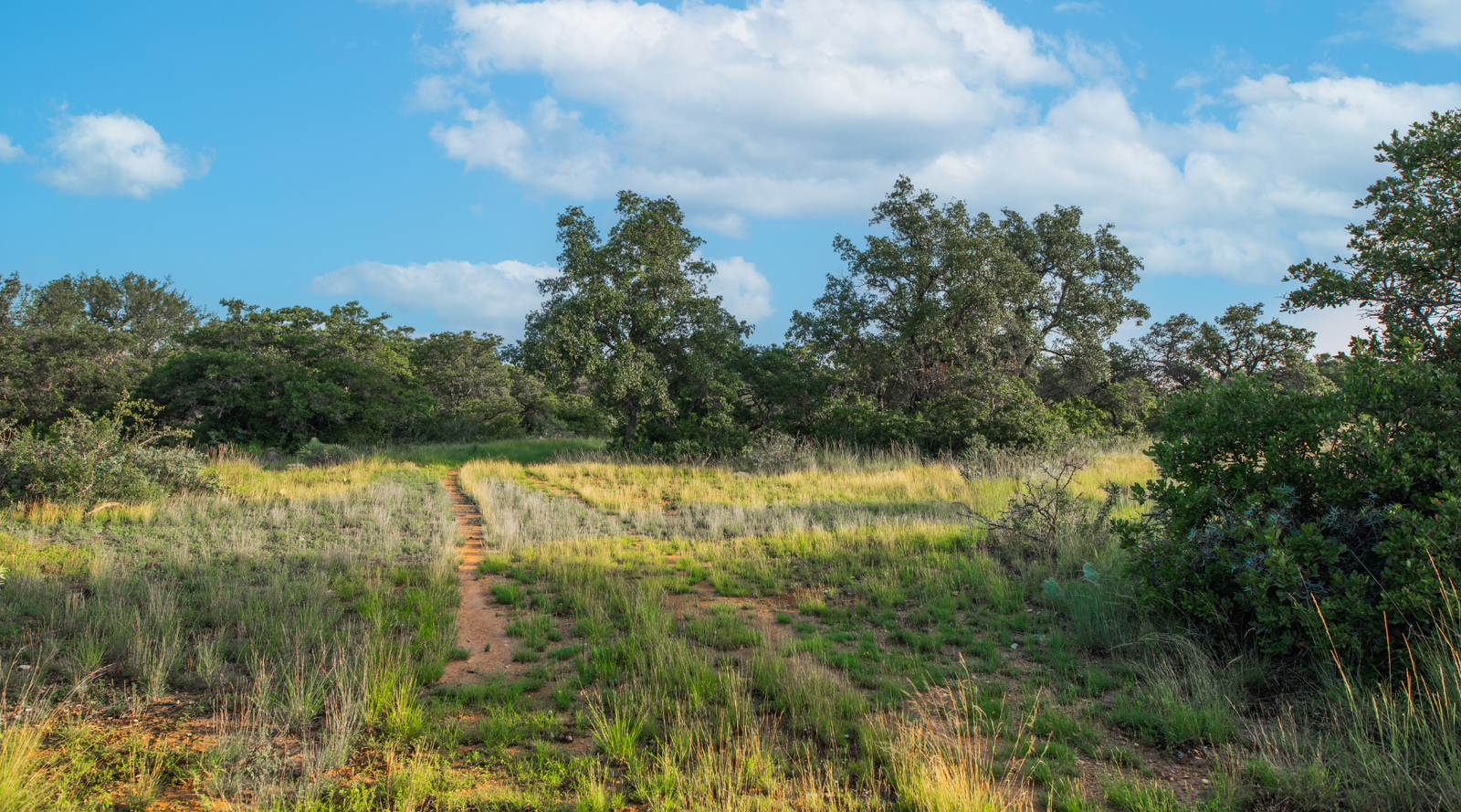 Redden Ranch | Oak-Covered 111-Acre Off-Grid Hunting Property for Sale Near Eden, Texas | Jacoby Land Co