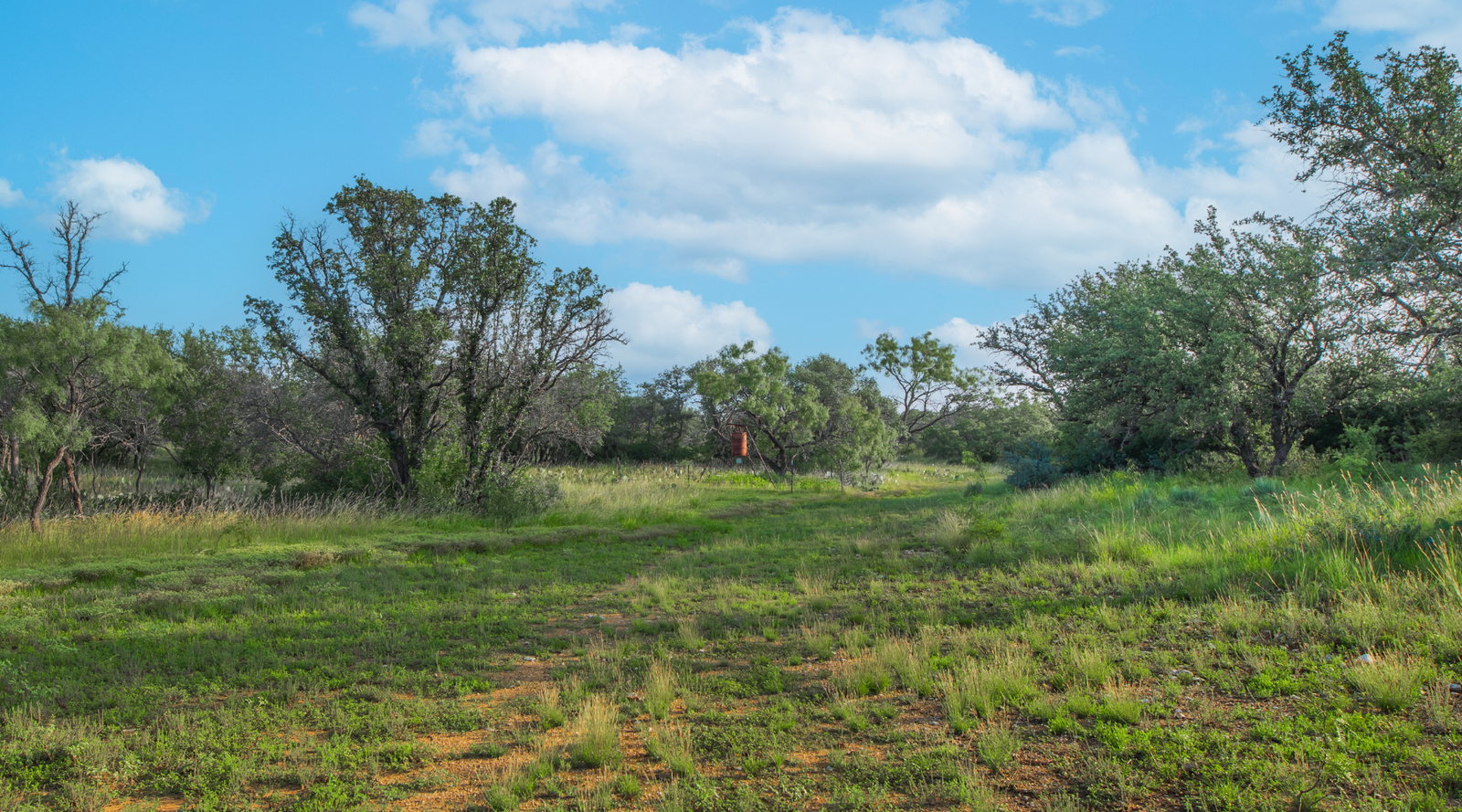 Redden Ranch | Oak-Covered 111-Acre Off-Grid Hunting Property for Sale Near Eden, Texas | Jacoby Land Co