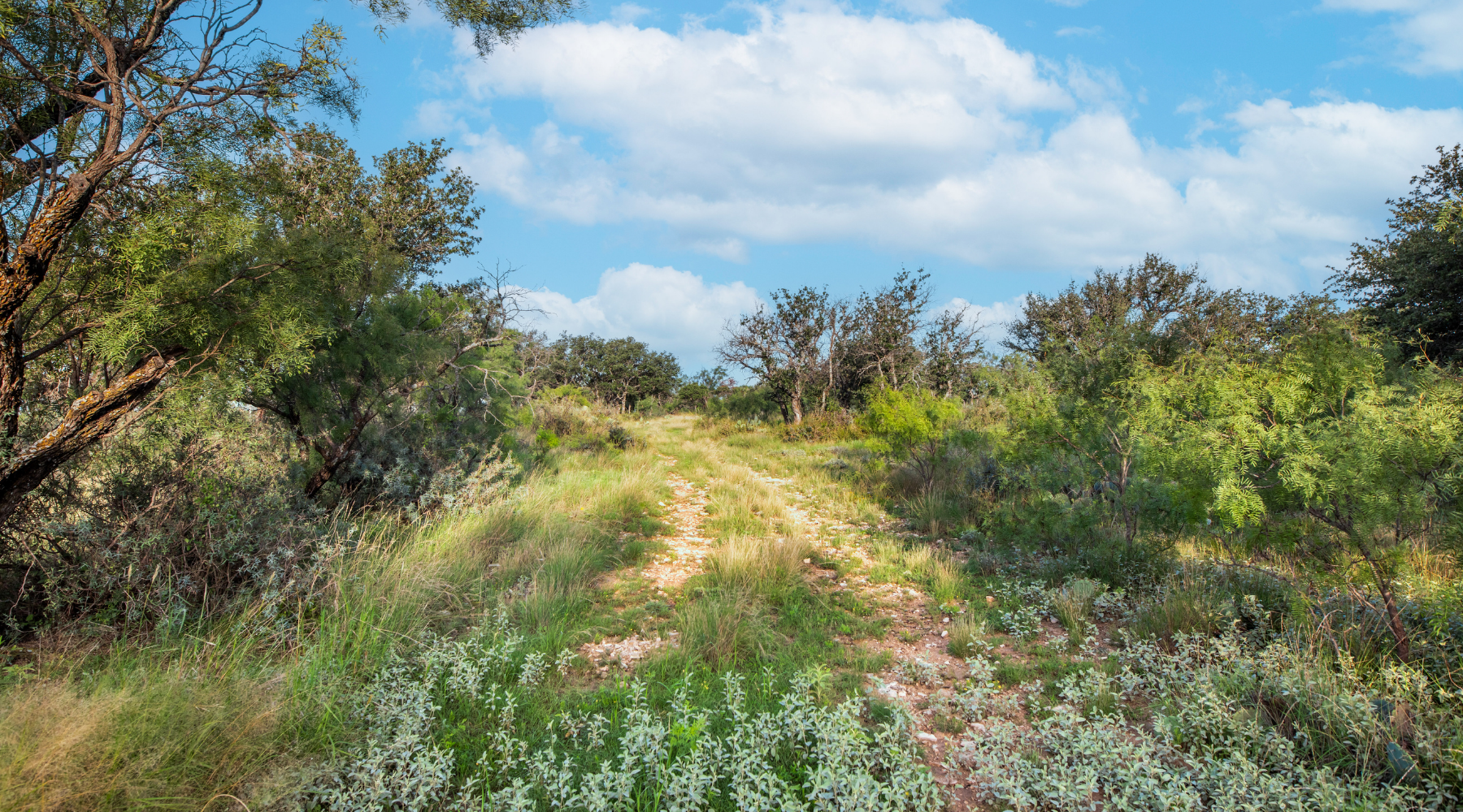 Redden Ranch | Oak-Covered 111-Acre Off-Grid Hunting Property for Sale Near Eden, Texas | Jacoby Land Co