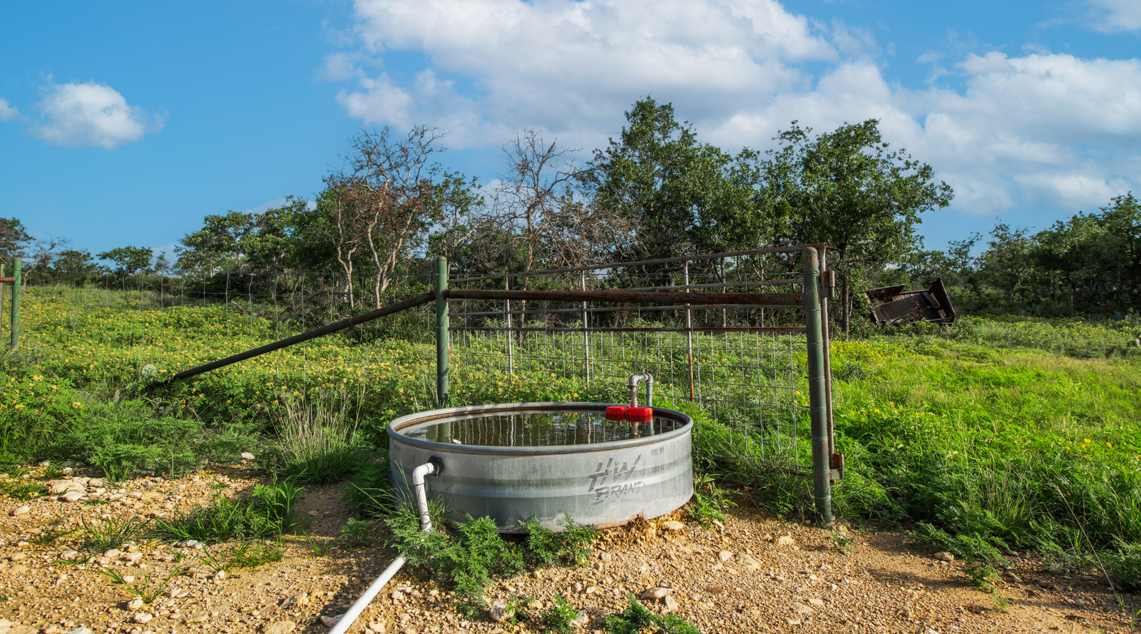 Redden Ranch | Oak-Covered 111-Acre Off-Grid Hunting Property for Sale Near Eden, Texas | Jacoby Land Co