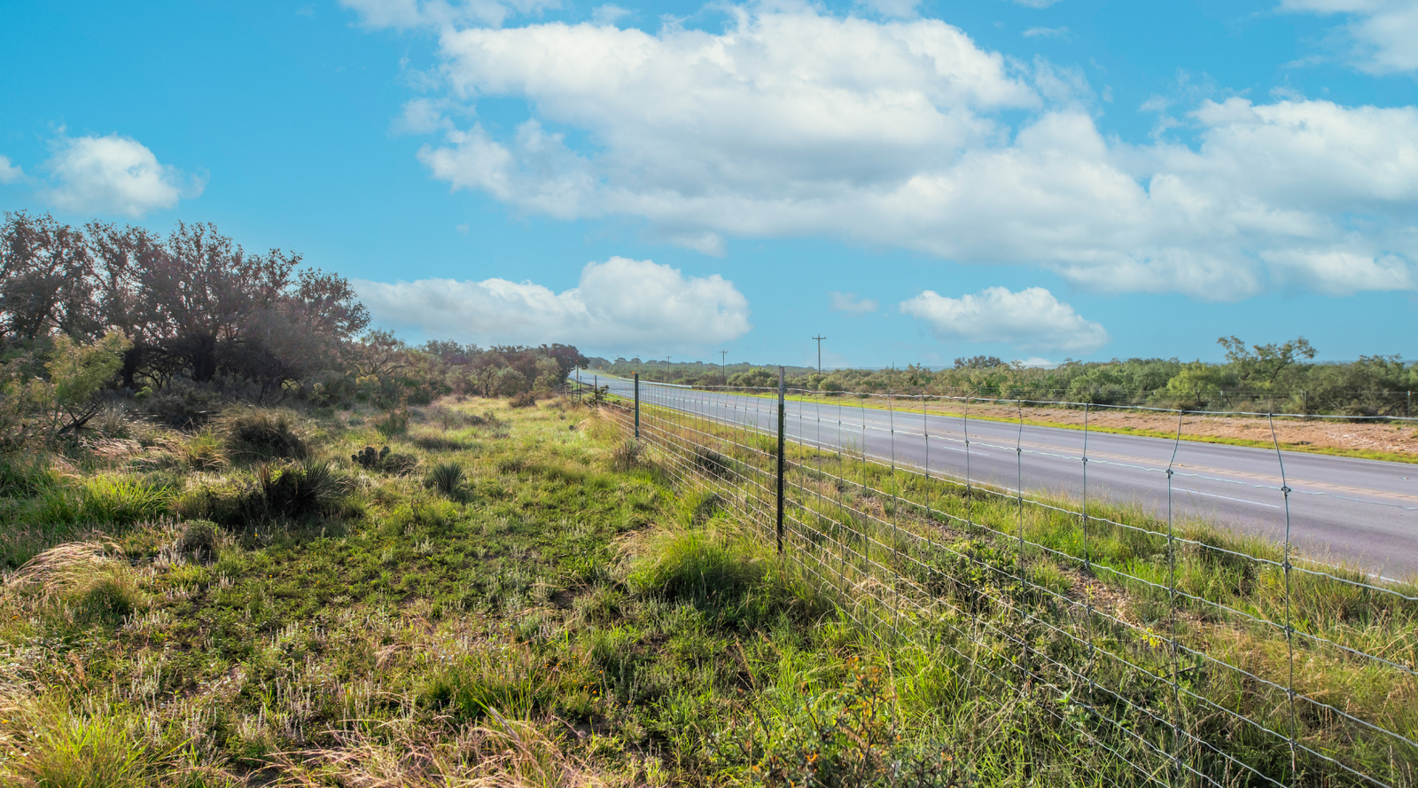 Redden Ranch | Oak-Covered 111-Acre Off-Grid Hunting Property for Sale Near Eden, Texas | Jacoby Land Co