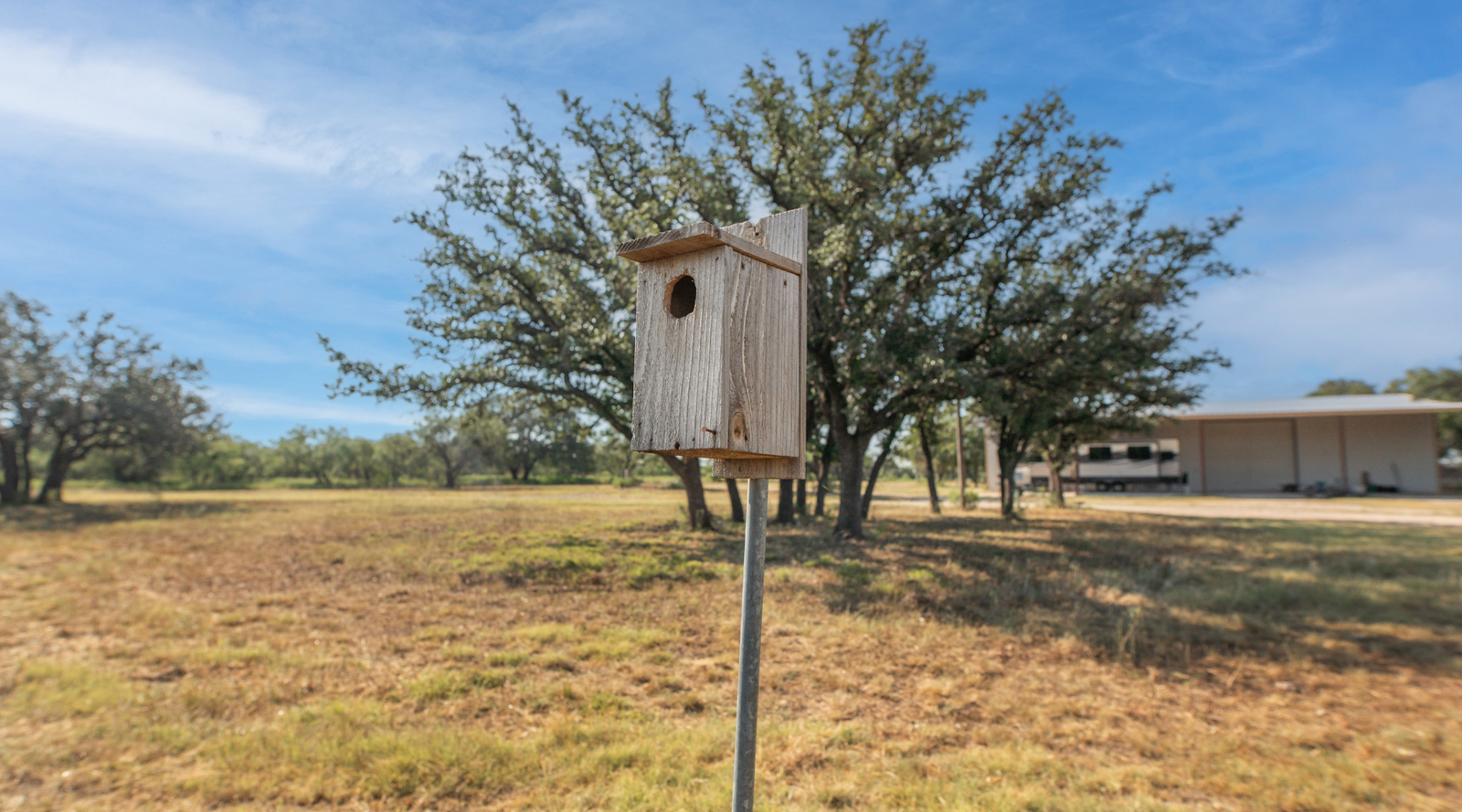 Shanks Ranch | 175-Acre Ranch for Sale in McCulloch County, Texas | Jacoby Land Co