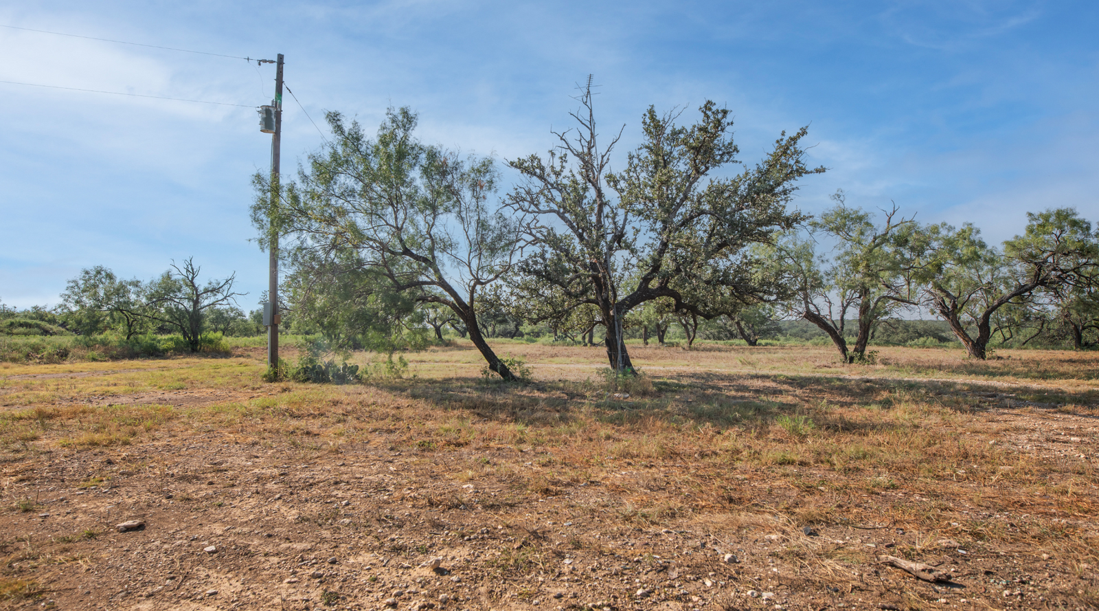 Shanks Ranch | 175-Acre Ranch for Sale in McCulloch County, Texas | Jacoby Land Co