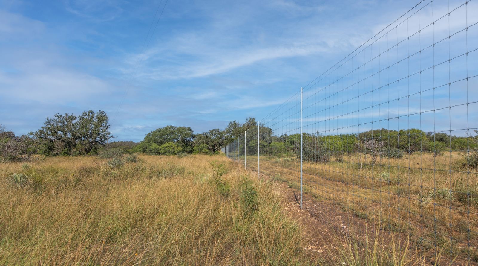 Shanks Ranch | 175-Acre Ranch for Sale in McCulloch County, Texas | Jacoby Land Co