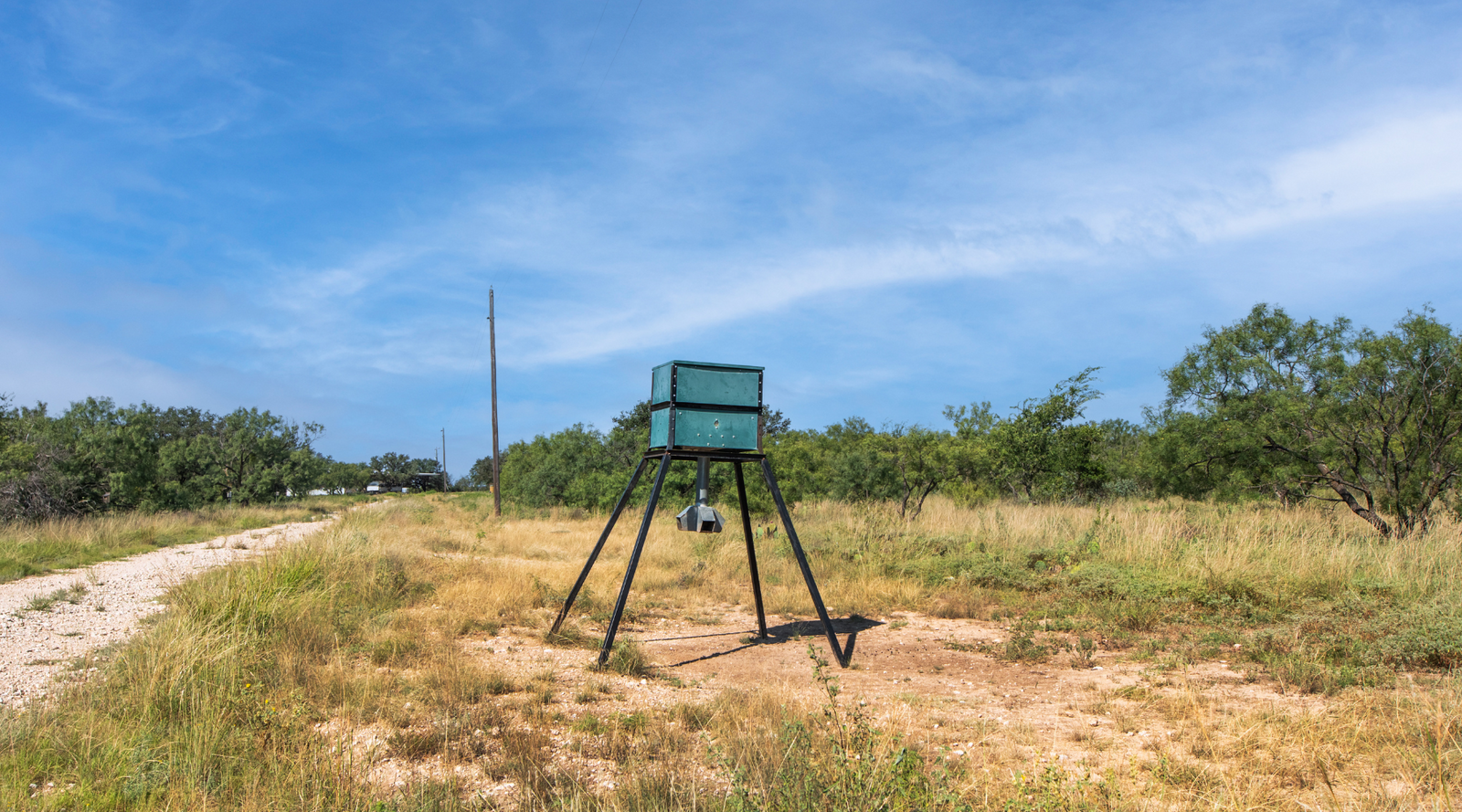 Shanks Ranch | 175-Acre Ranch for Sale in McCulloch County, Texas | Jacoby Land Co