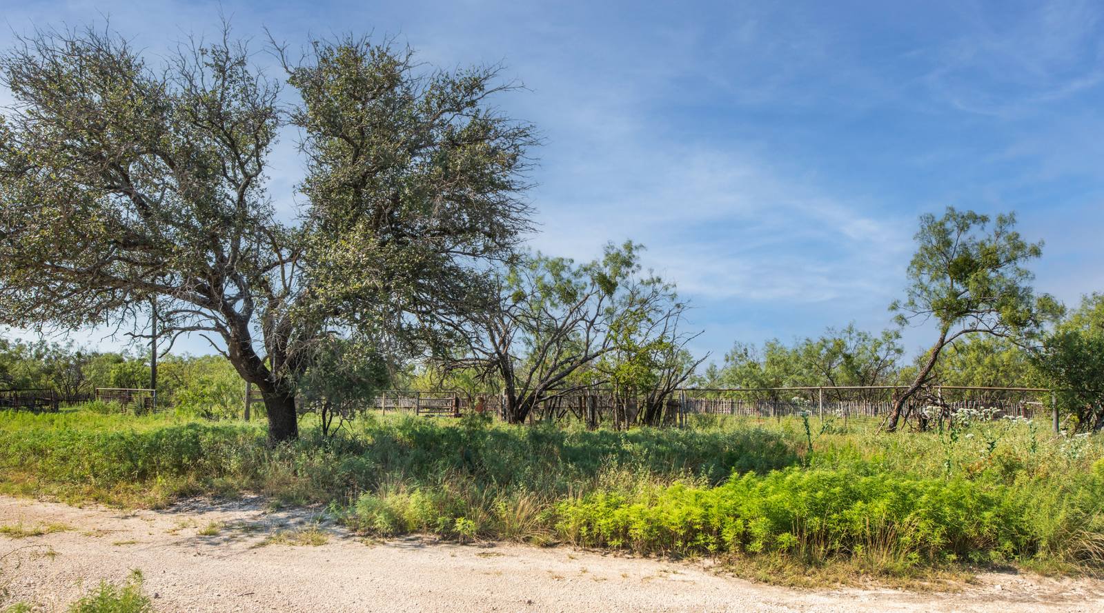 Shanks Ranch | 175-Acre Ranch for Sale in McCulloch County, Texas | Jacoby Land Co
