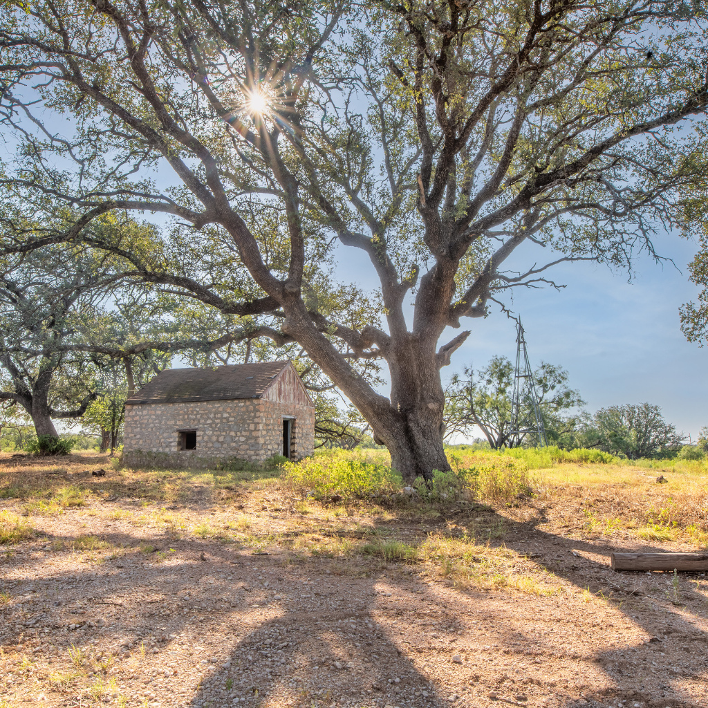Shanks Ranch | 175-Acre McCulloch County Ranch for Sale in Central Texas | Wildlife & Heritage Ranch