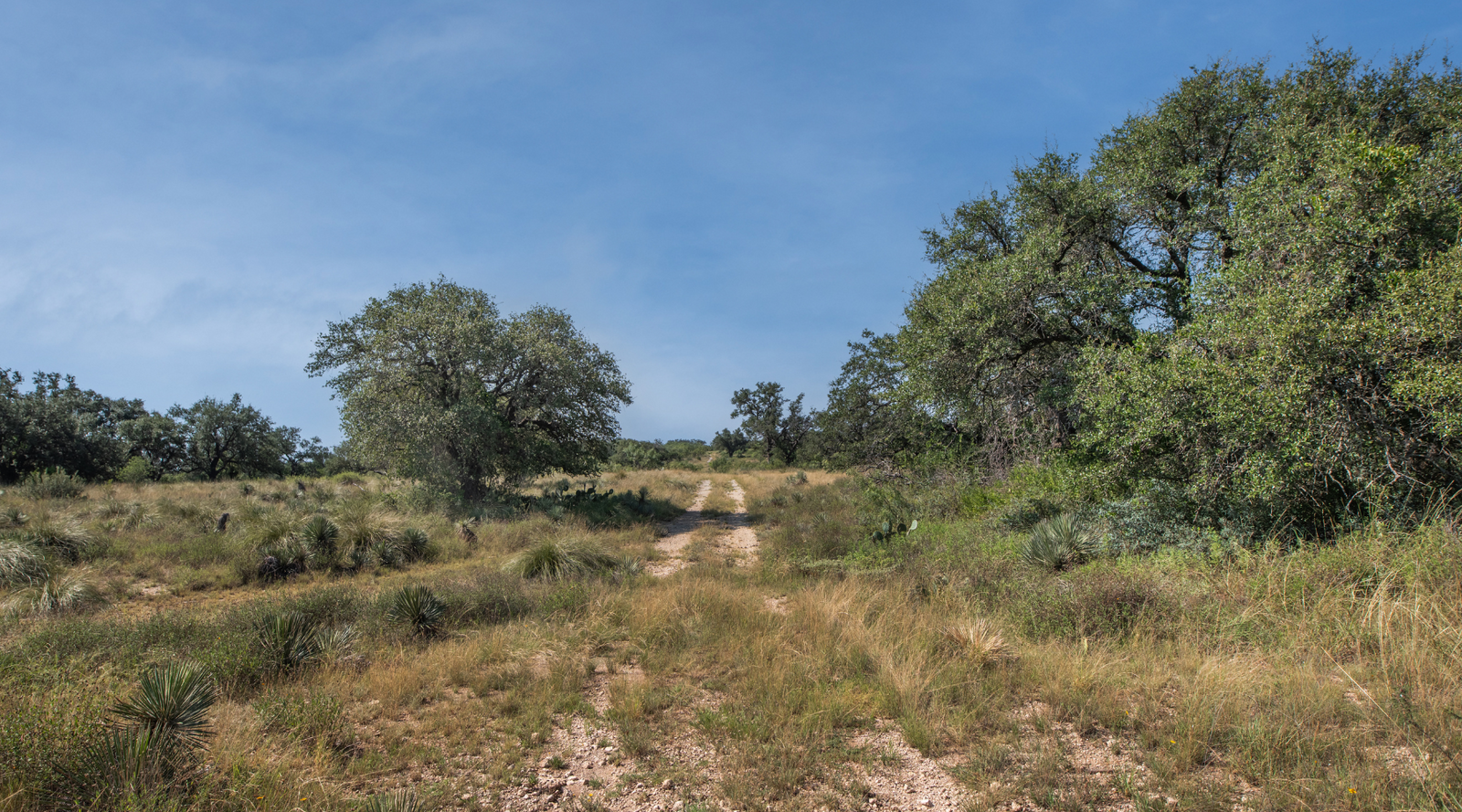Shanks Ranch | 175-Acre Ranch for Sale in McCulloch County, Texas | Jacoby Land Co