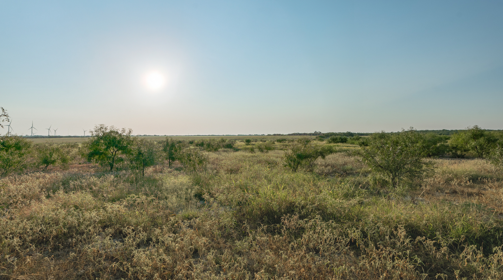Smith Ranch | 138-Acre Ranch for Sale in McCulloch County, Texas | Jacoby Land Co