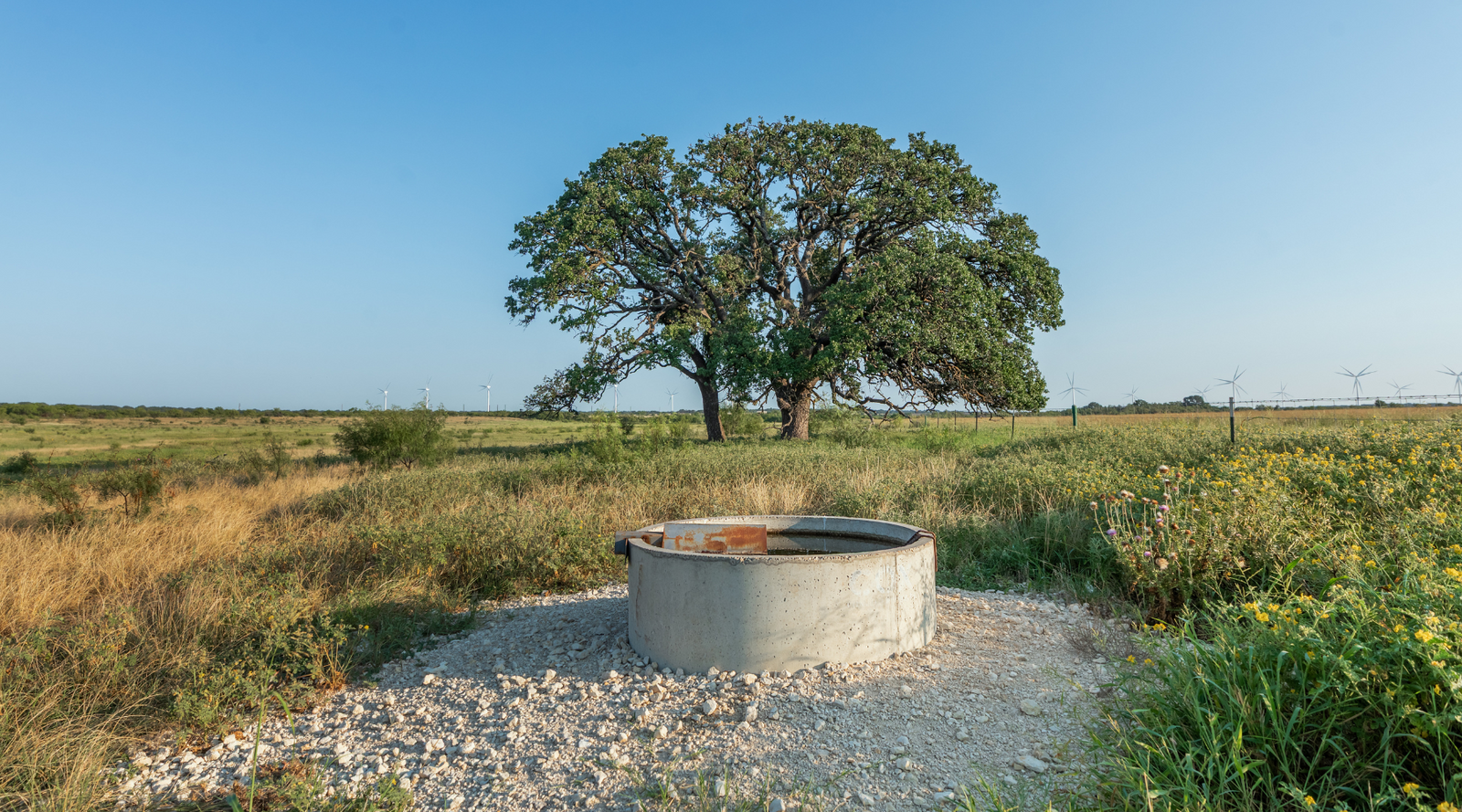 Smith Ranch | 138-Acre Ranch for Sale in McCulloch County, Texas | Jacoby Land Co
