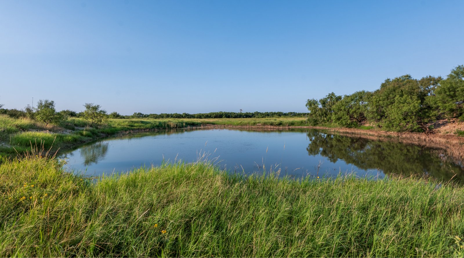 Smith Ranch | 138-Acre Ranch for Sale in McCulloch County, Texas | Jacoby Land Co