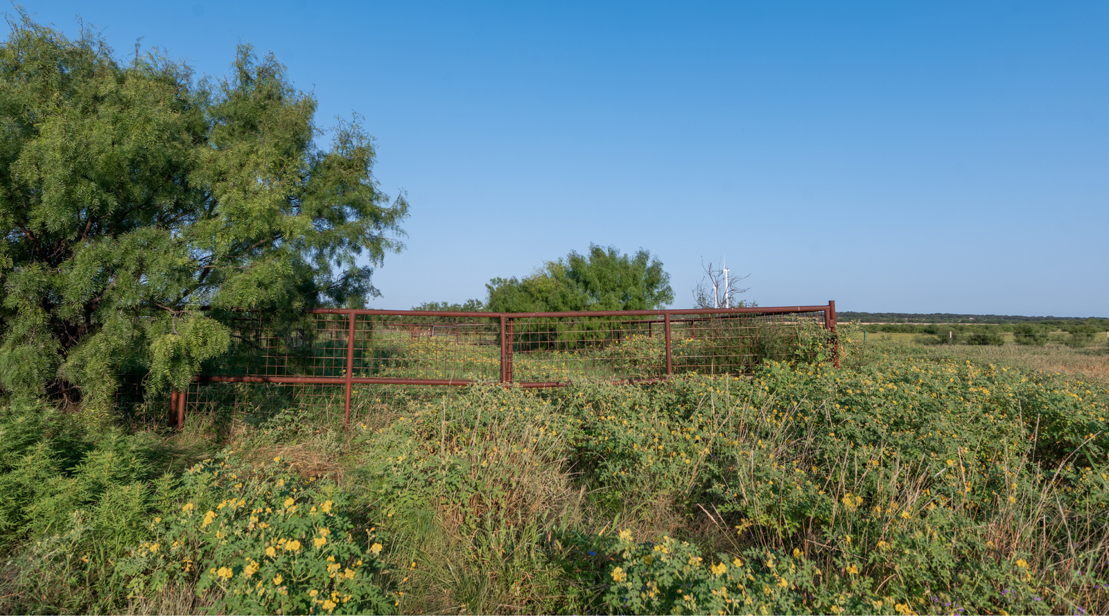 Smith Ranch | 138-Acre Ranch for Sale in McCulloch County, Texas | Jacoby Land Co