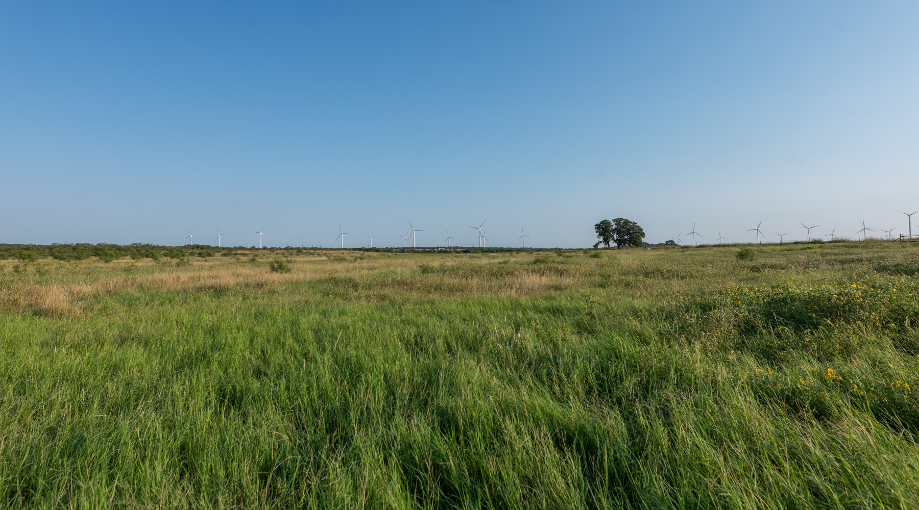 Smith Ranch | 138-Acre Ranch for Sale in McCulloch County, Texas | Jacoby Land Co