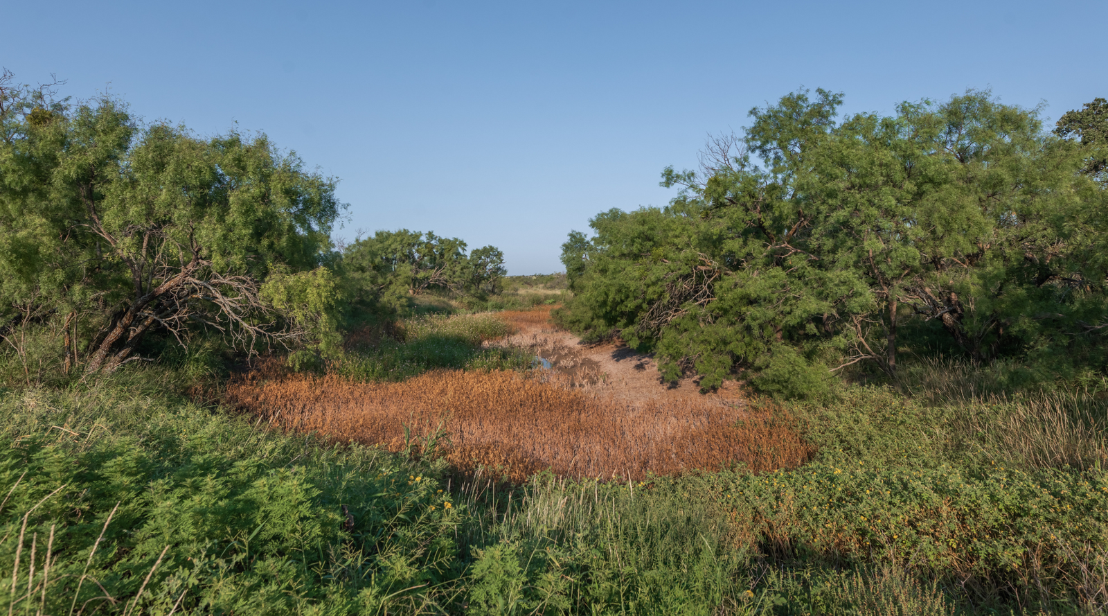 Smith Ranch | 138-Acre Ranch for Sale in McCulloch County, Texas | Jacoby Land Co