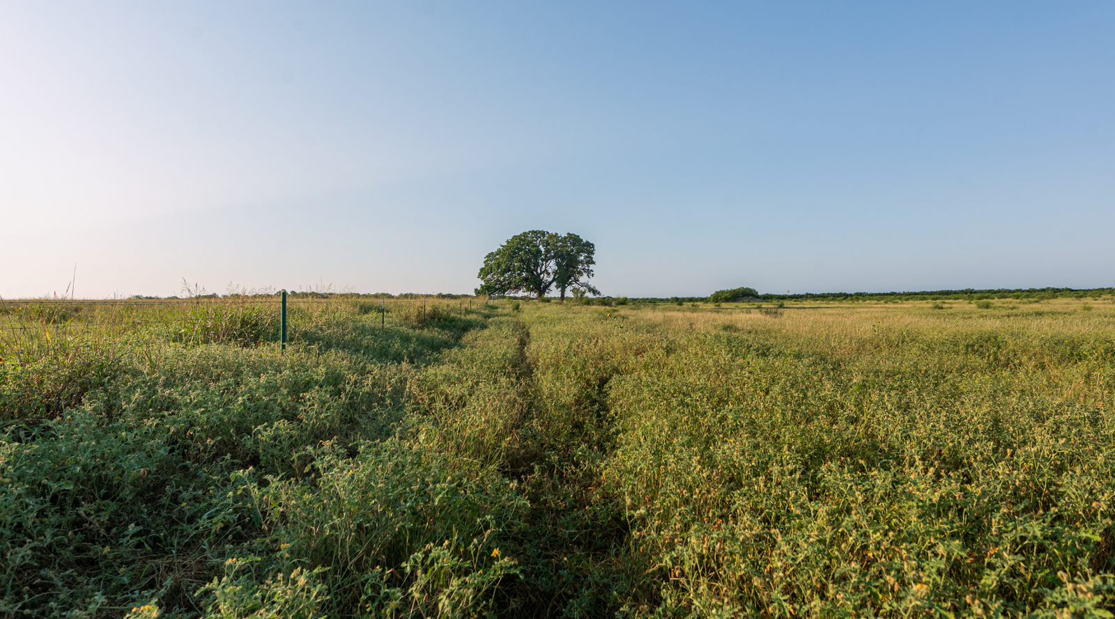 Smith Ranch | 138-Acre Ranch for Sale in McCulloch County, Texas | Jacoby Land Co