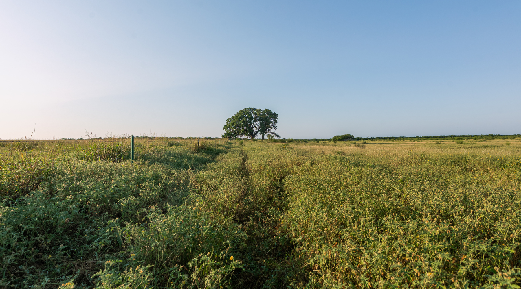 Smith Ranch | 138-Acre Ranch for Sale in McCulloch County, Texas | Jacoby Land Co