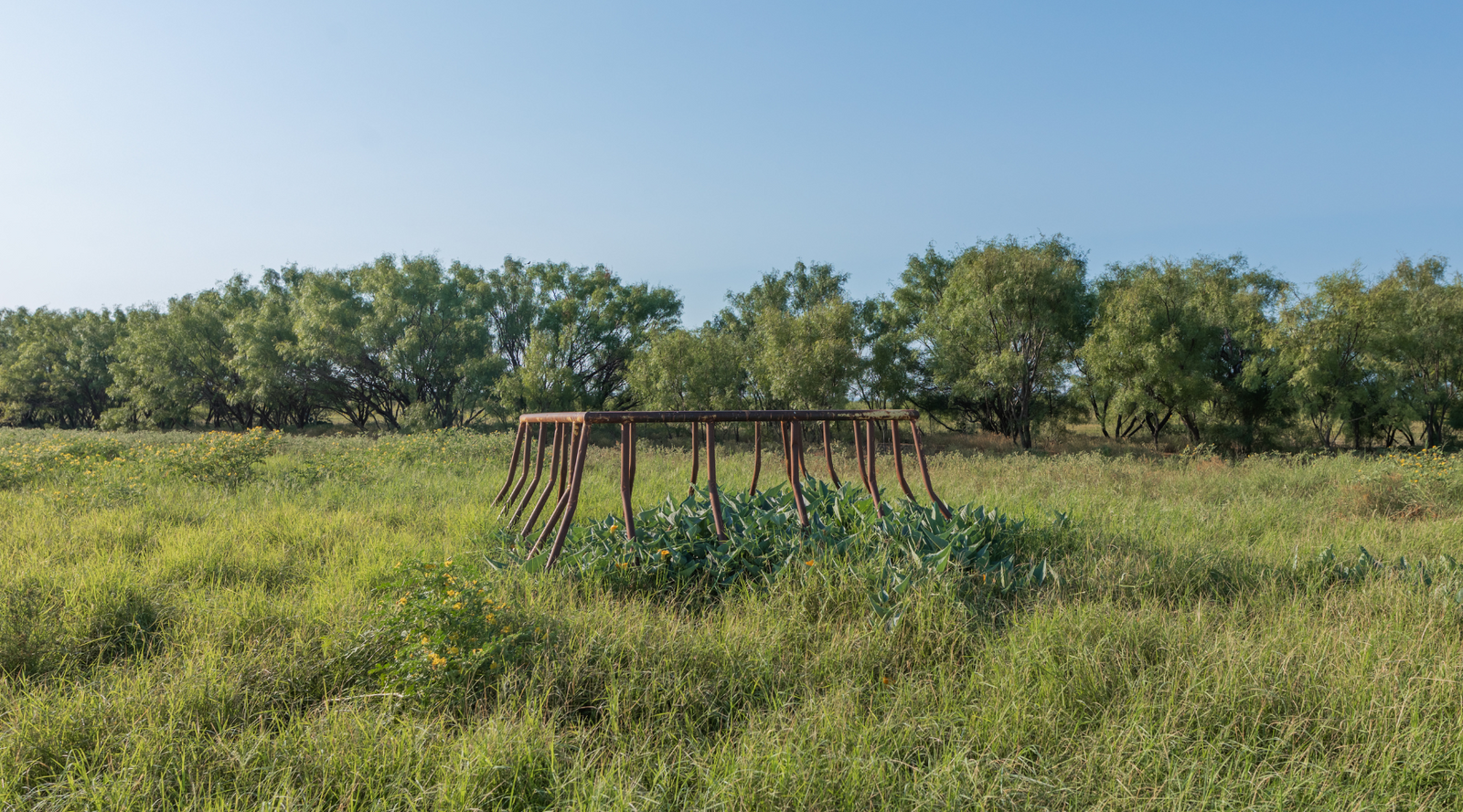 Smith Ranch | 138-Acre Ranch for Sale in McCulloch County, Texas | Jacoby Land Co