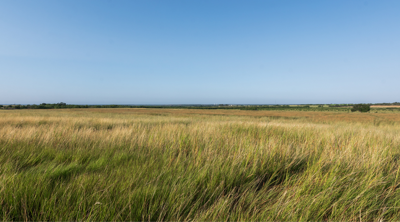 Smith Ranch | 138-Acre Ranch for Sale in McCulloch County, Texas | Jacoby Land Co