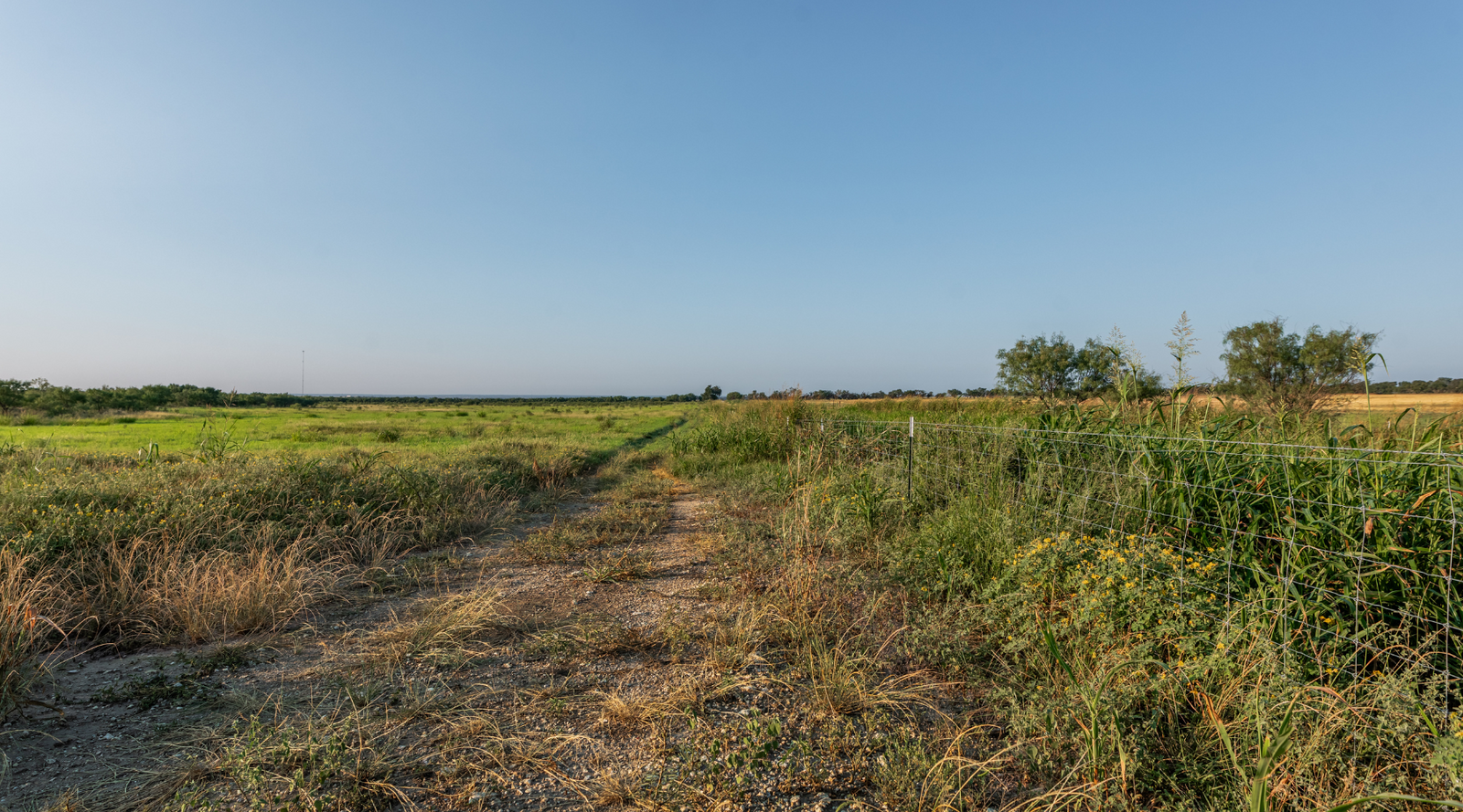 Smith Ranch | 138-Acre Ranch for Sale in McCulloch County, Texas | Jacoby Land Co