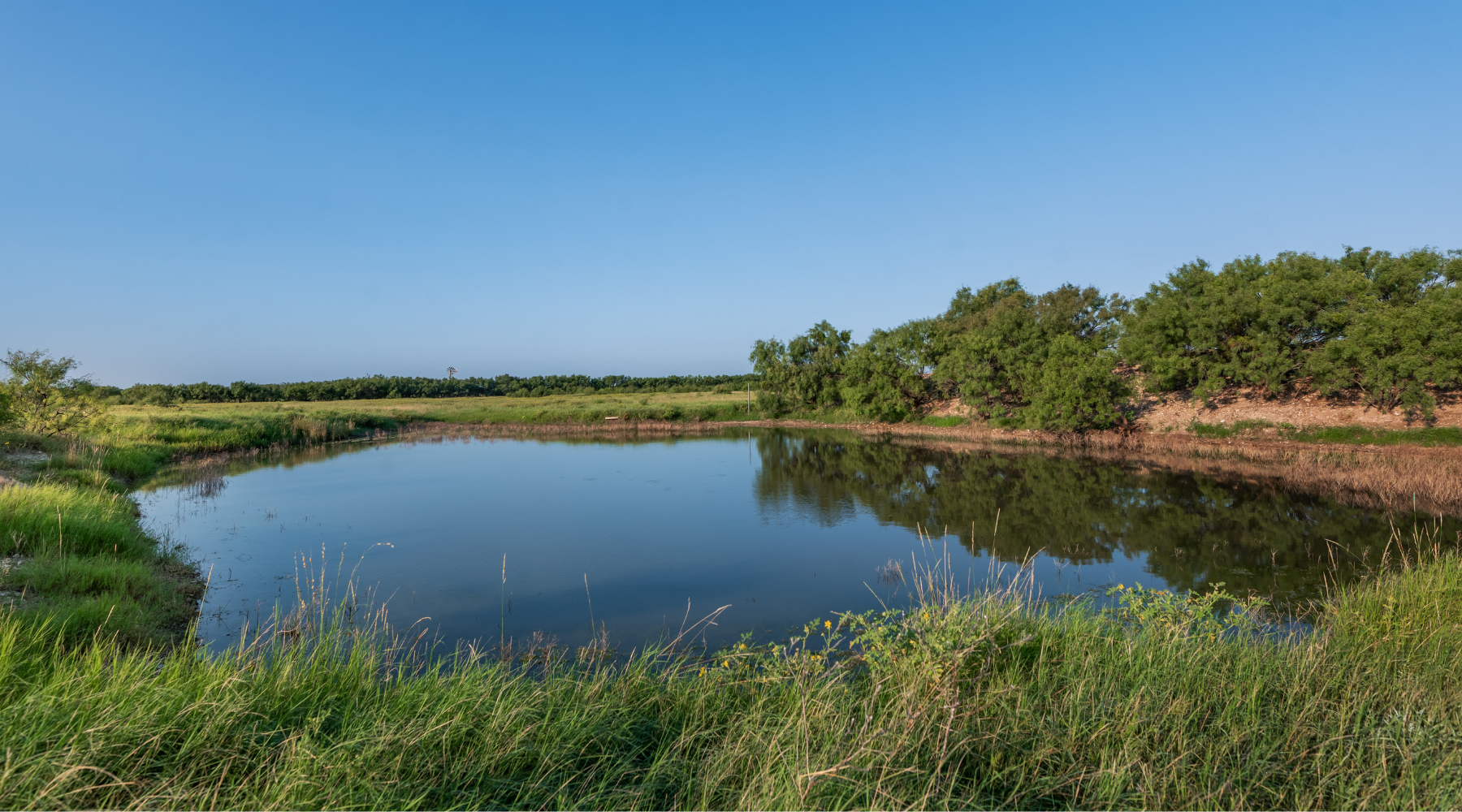 Smith Ranch | 138-Acre Ranch for Sale in McCulloch County, Texas | Jacoby Land Co