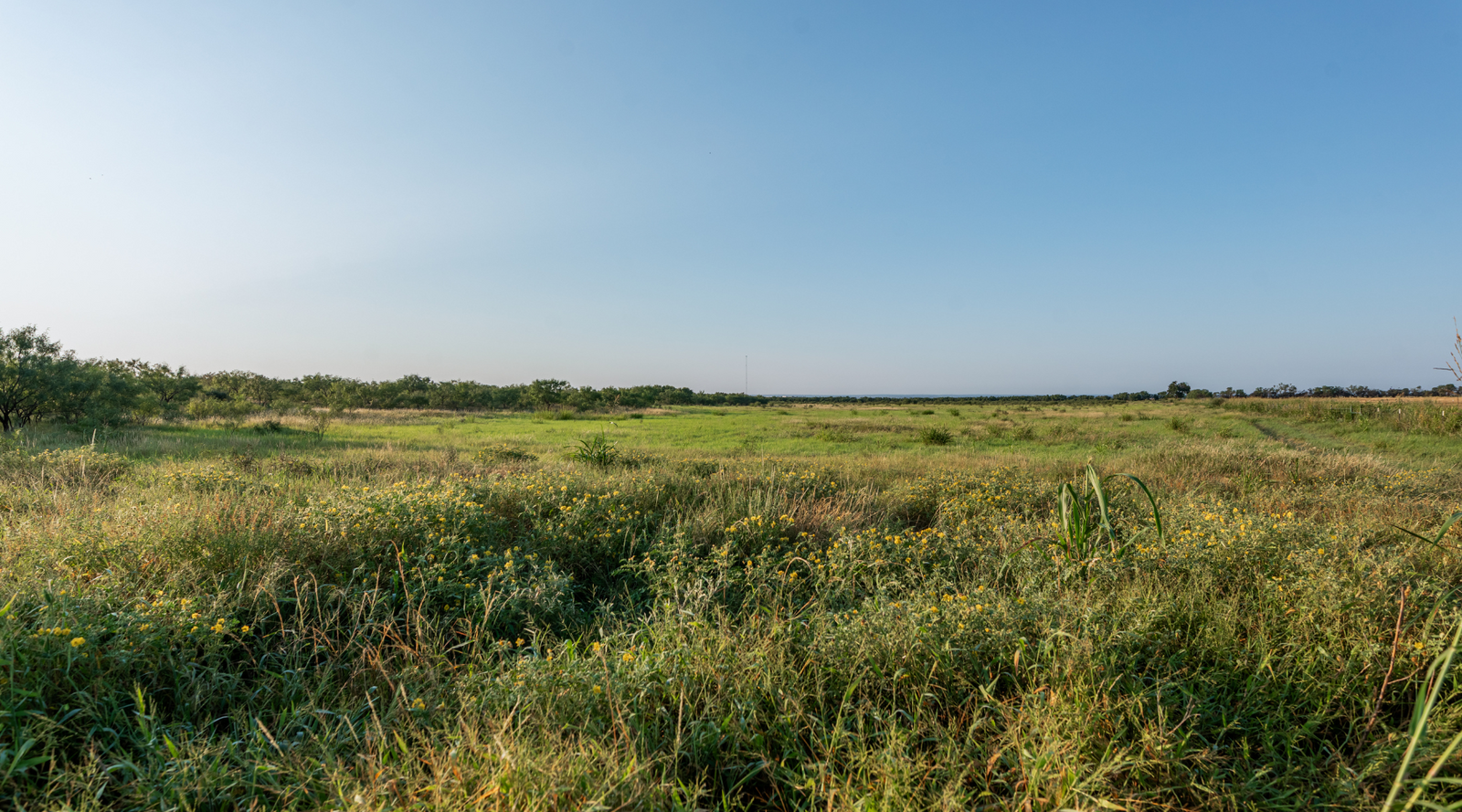 Smith Ranch | 138-Acre Ranch for Sale in McCulloch County, Texas | Jacoby Land Co