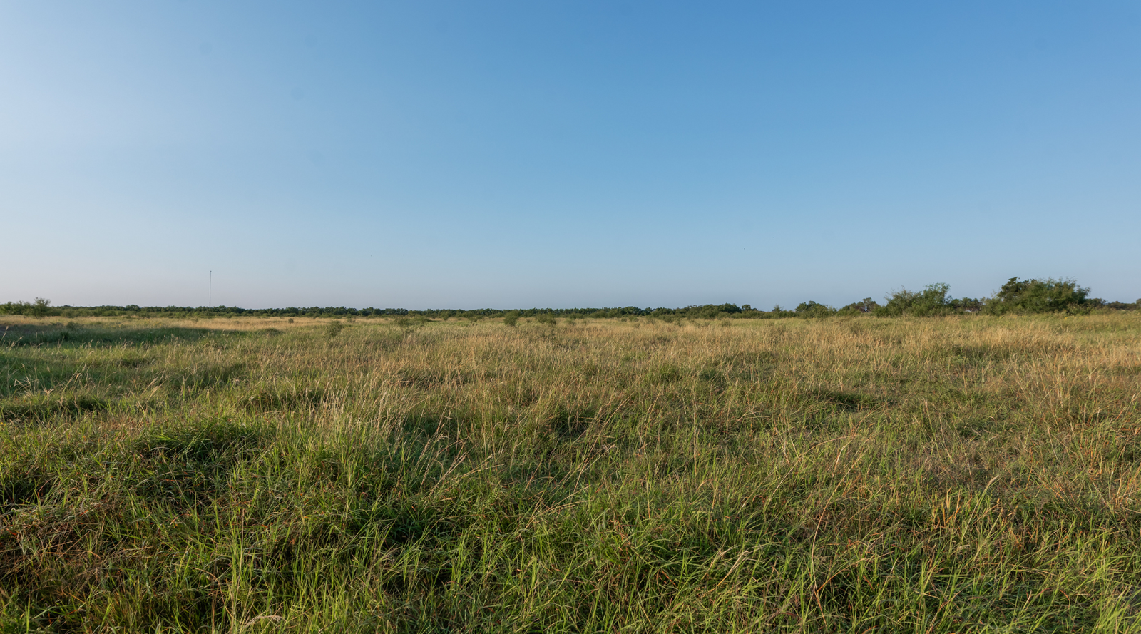 Smith Ranch | 138-Acre Ranch for Sale in McCulloch County, Texas | Jacoby Land Co