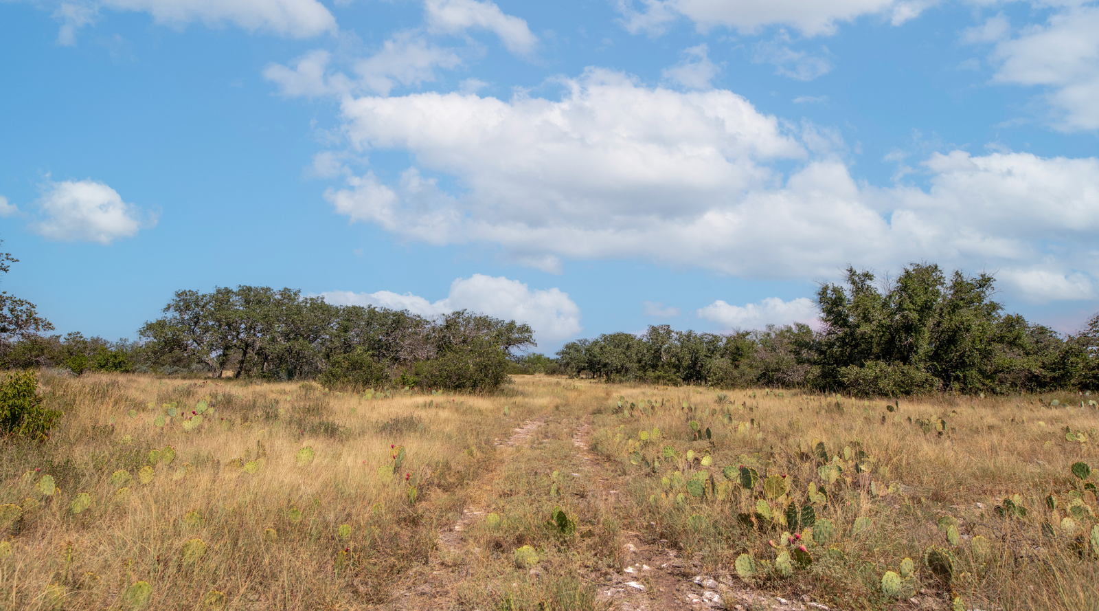 Sunset Ranch | 25-Acre Ranch for Sale in McCulloch County, Texas | Jacoby Land Co