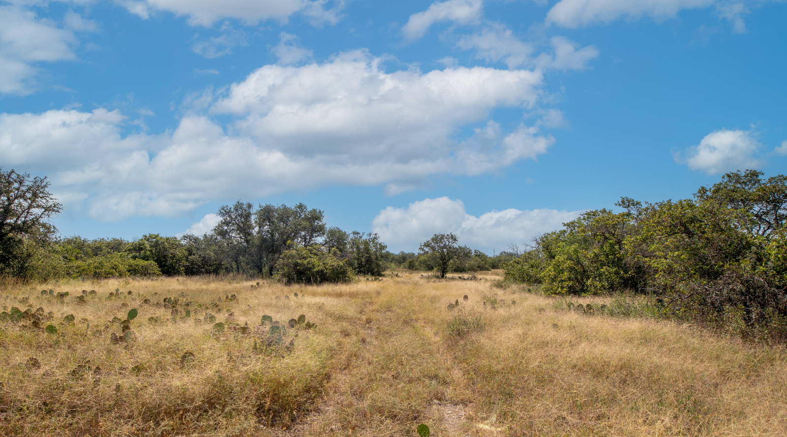 Sunset Ranch | 25-Acre Ranch for Sale in McCulloch County, Texas | Jacoby Land Co