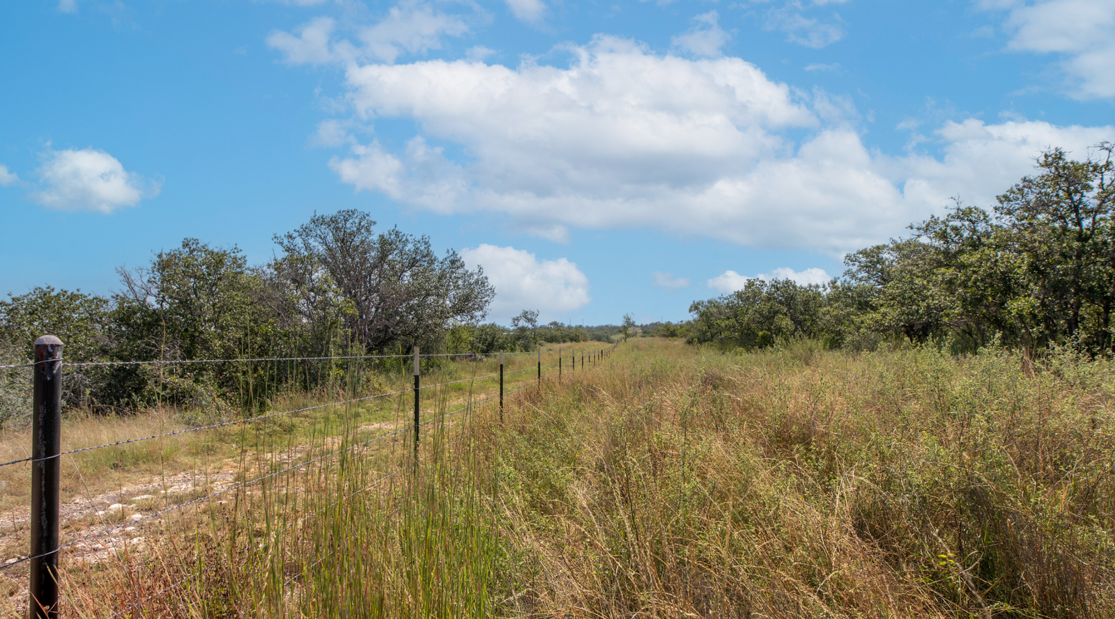 Sunset Ranch | 25-Acre Ranch for Sale in McCulloch County, Texas | Jacoby Land Co
