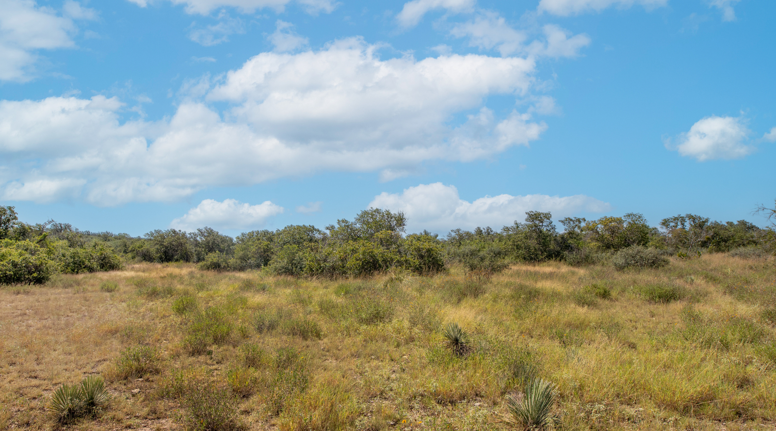 Sunset Ranch | 25-Acre Ranch for Sale in McCulloch County, Texas | Jacoby Land Co