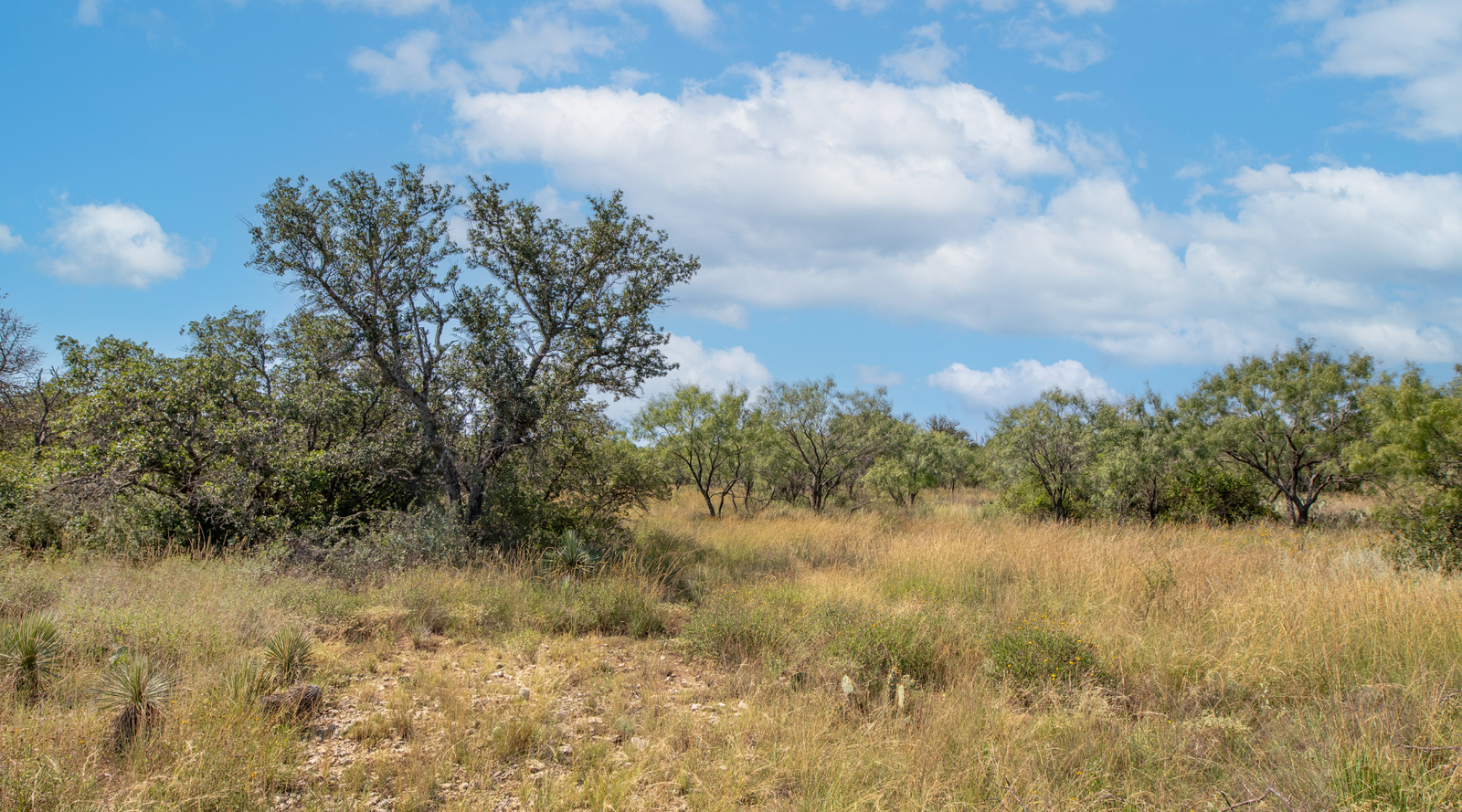 Sunset Ranch | 25-Acre Ranch for Sale in McCulloch County, Texas | Jacoby Land Co