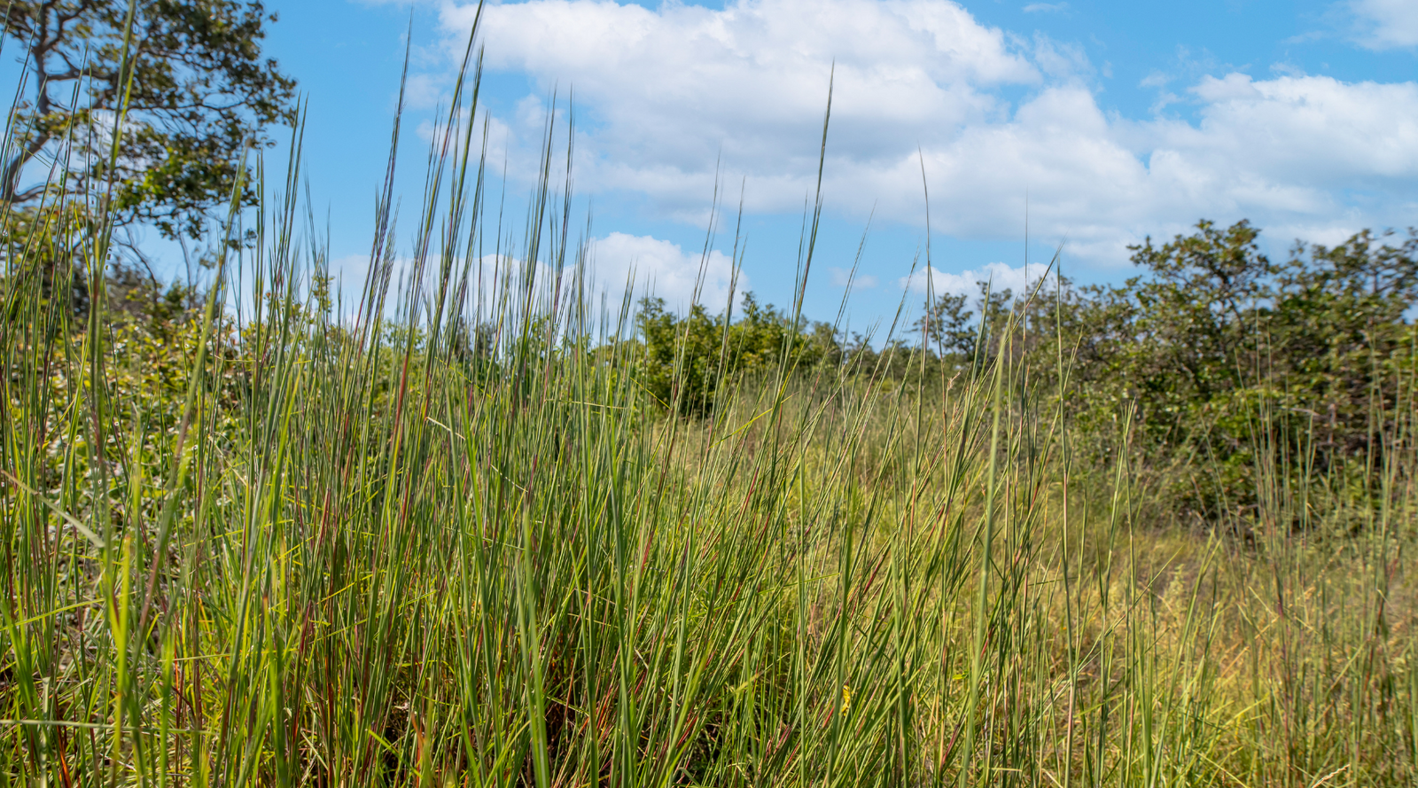 Sunset Ranch | 25-Acre Ranch for Sale in McCulloch County, Texas | Jacoby Land Co