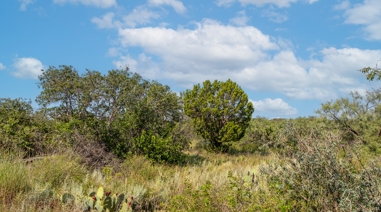 Sunset Ranch | 25-Acre Ranch for Sale in McCulloch County, Texas | Jacoby Land Co