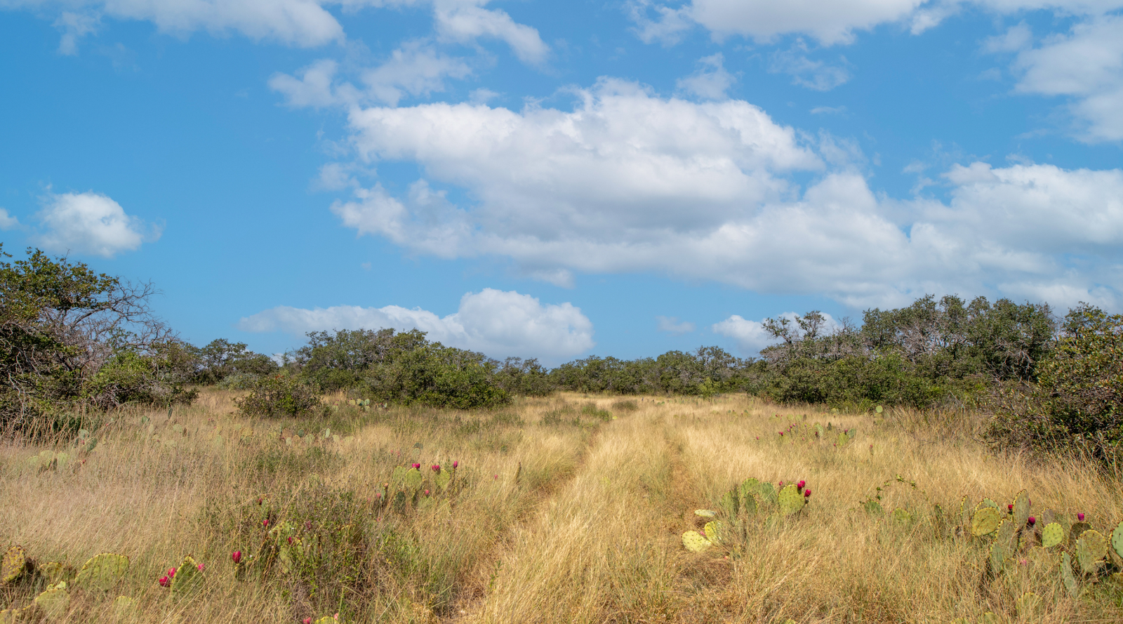 Sunset Ranch | 25-Acre Ranch for Sale in McCulloch County, Texas | Jacoby Land Co