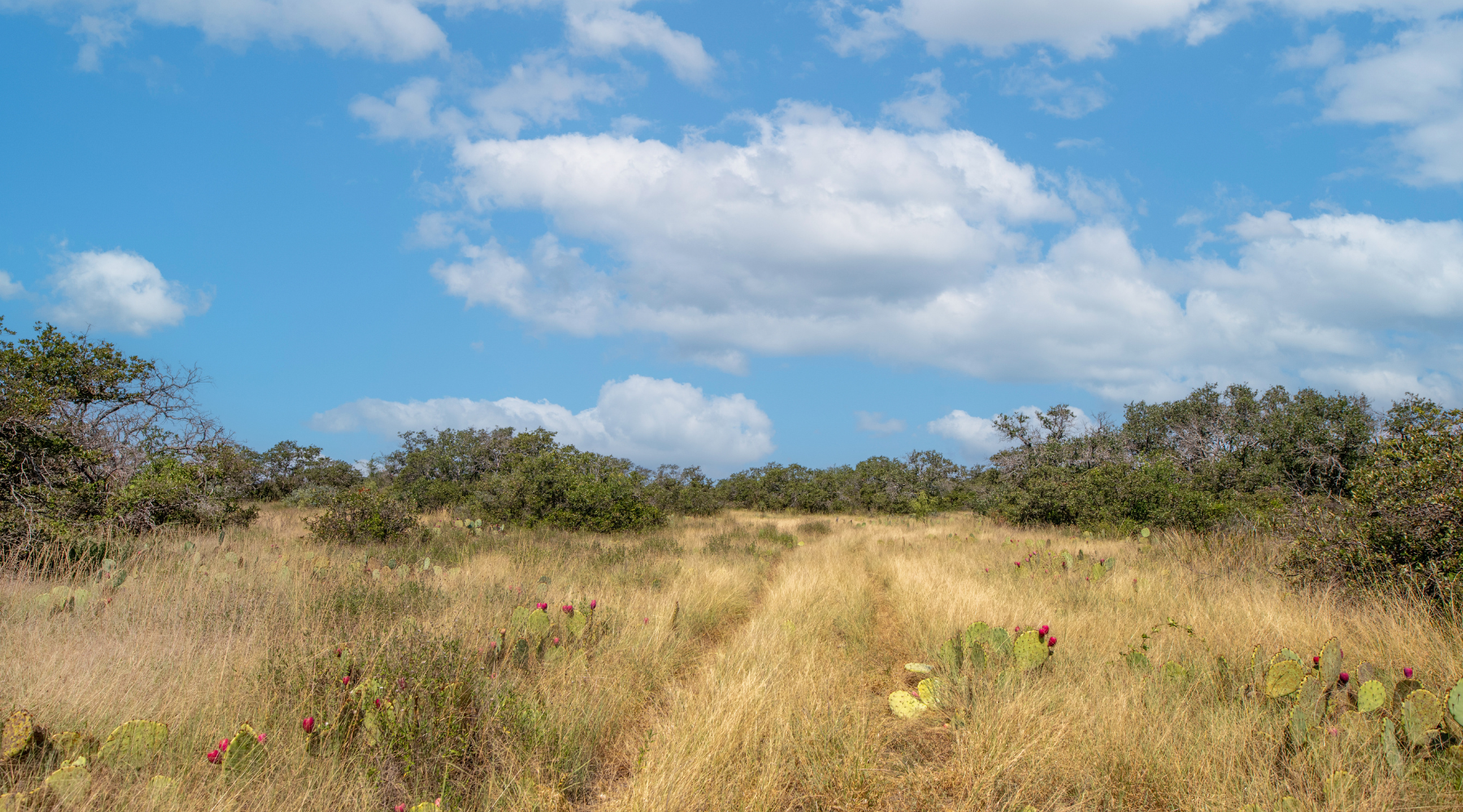 Sunset Ranch | 25-Acre Ranch for Sale in McCulloch County, Texas | Jacoby Land Co