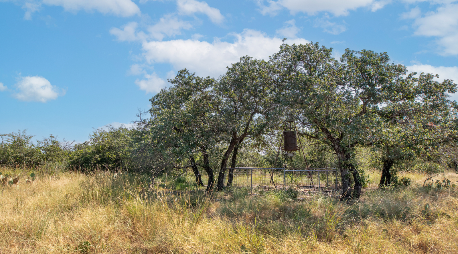 Sunset Ranch | 25-Acre Ranch for Sale in McCulloch County, Texas | Jacoby Land Co