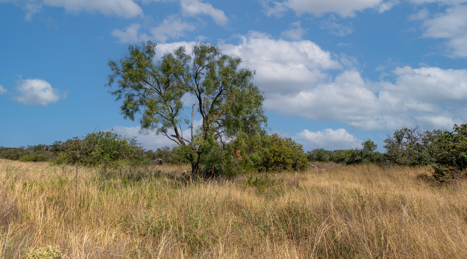 Sunset Ranch | 25-Acre Ranch for Sale in McCulloch County, Texas | Jacoby Land Co